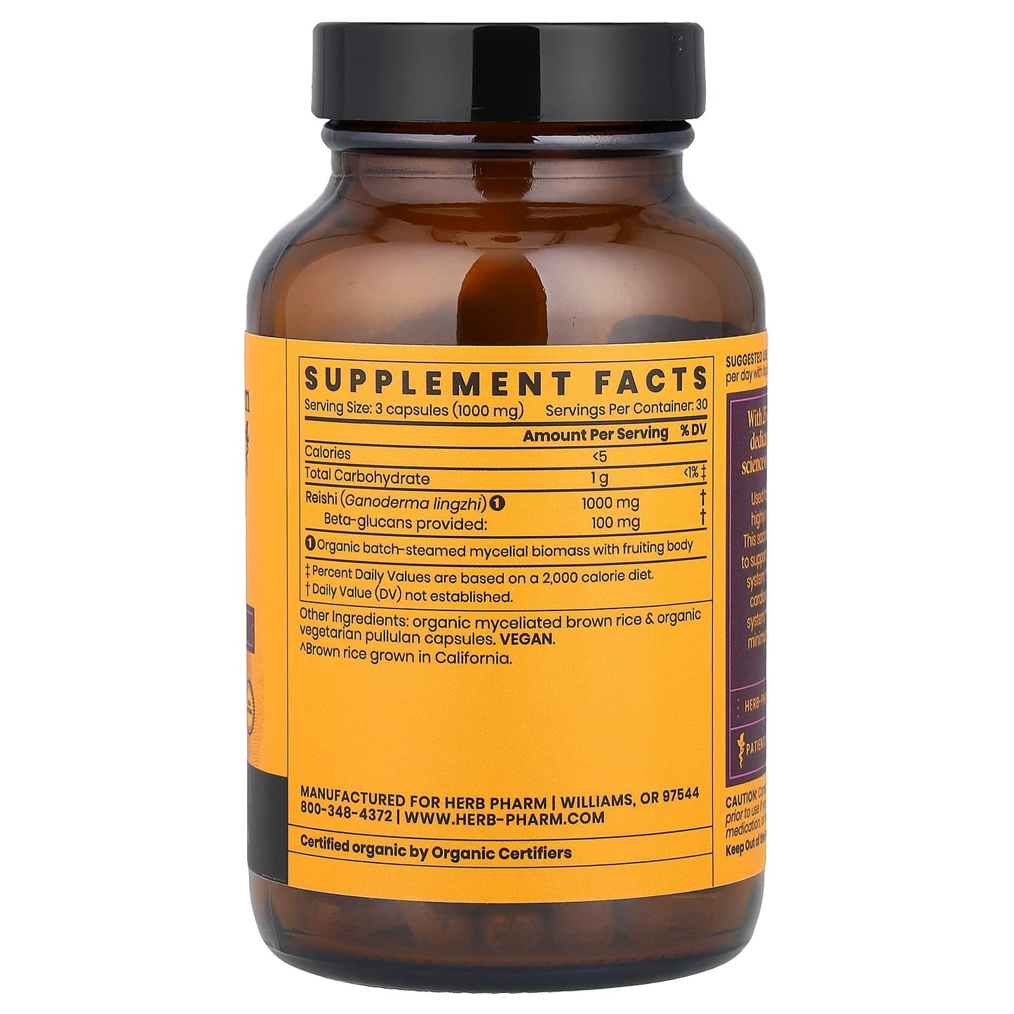 Reishi Mushroom Supplement for Healthy Aging & Immune Support - Image 2