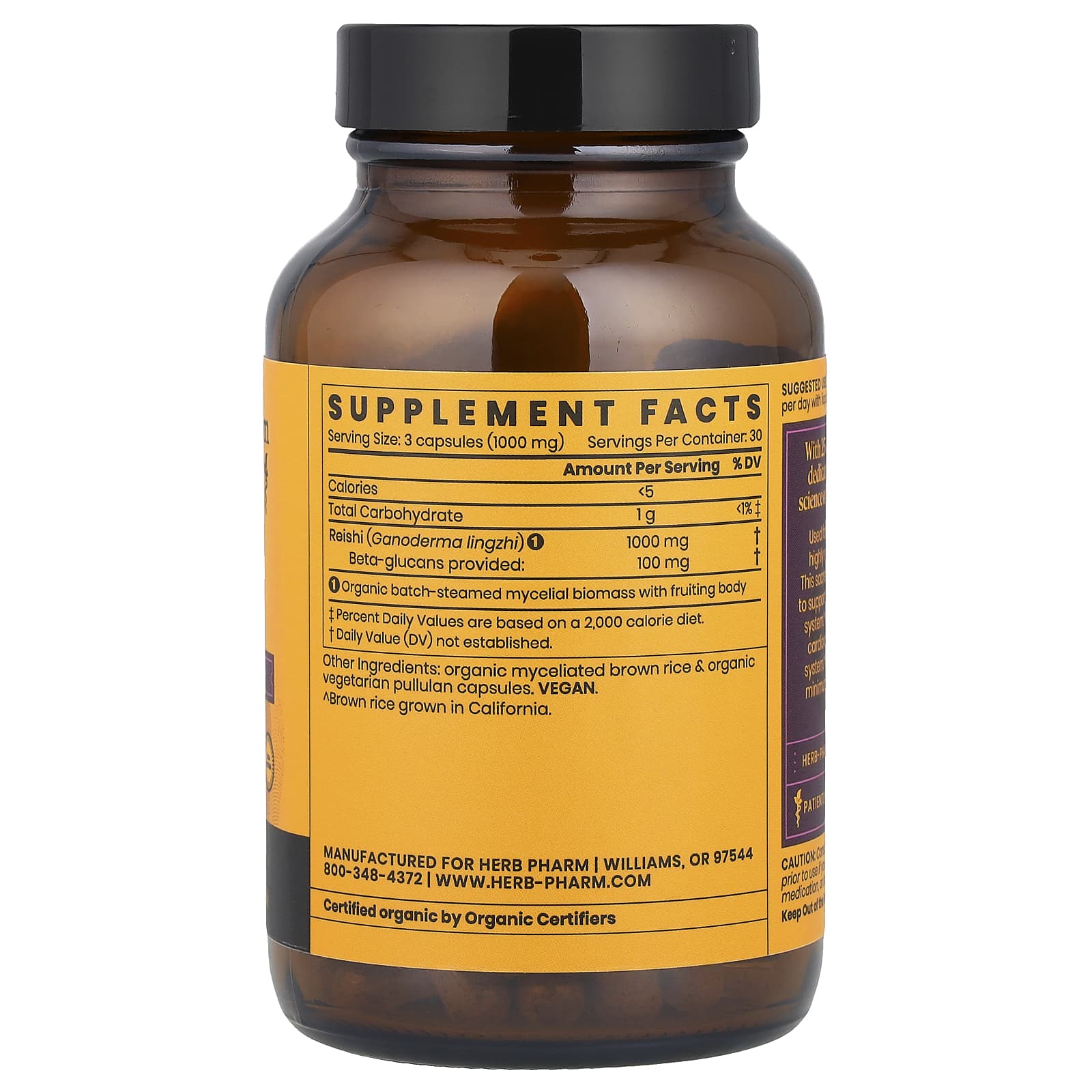 Reishi Mushroom Supplement for Healthy Aging & Immune Support - Image 2