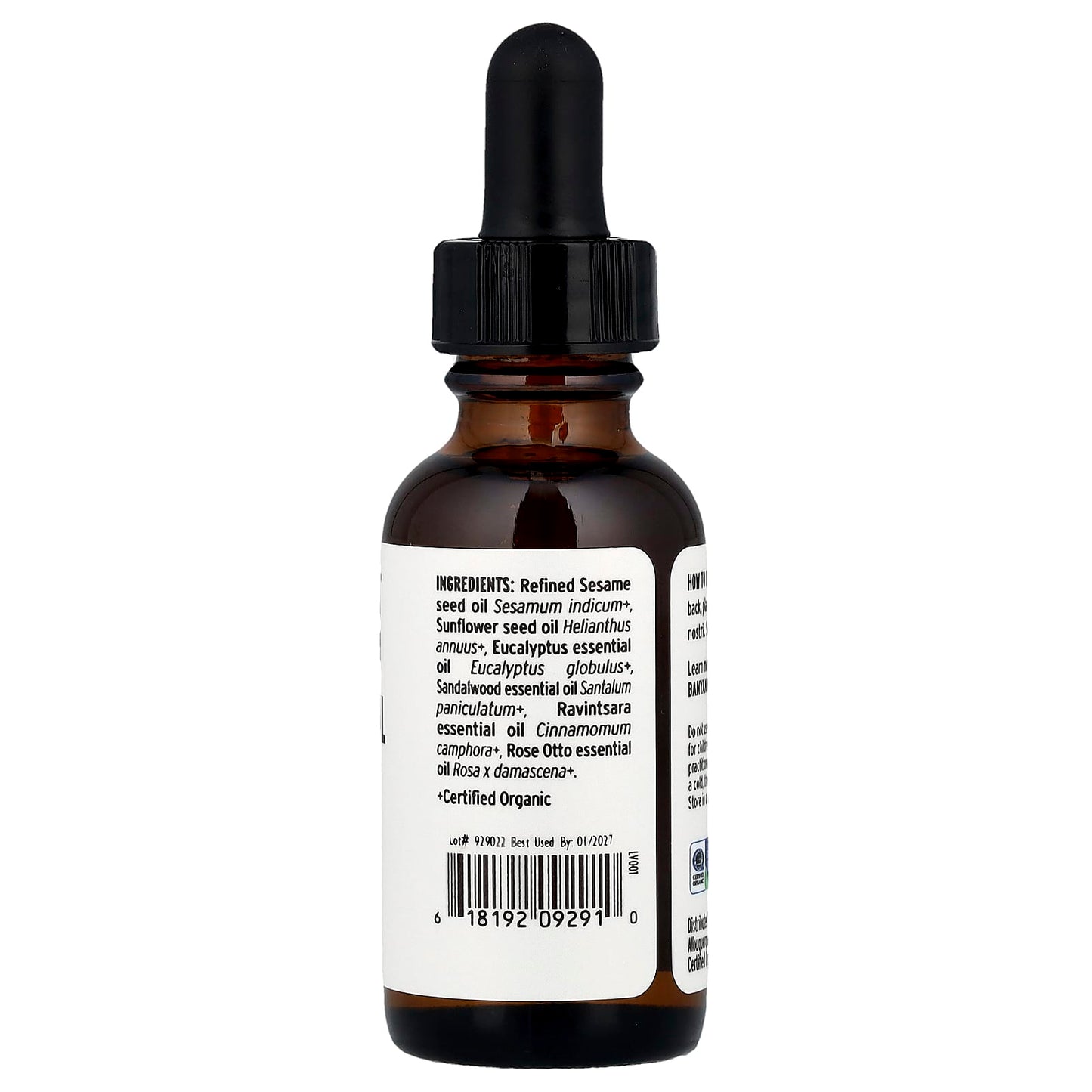 Organic Nasal Drops for Sinus Relief by Banyan Botanicals, 1 fl oz - Image 2