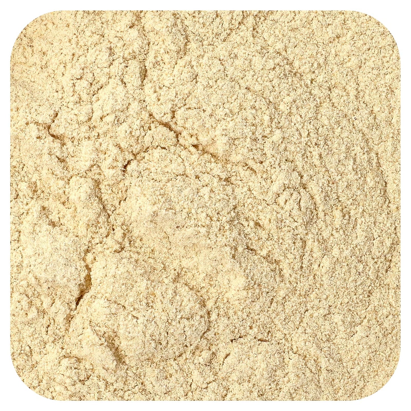 Starwest Botanicals, Astragalus Root Powder, 1 lb (453.6 g) - Image 1