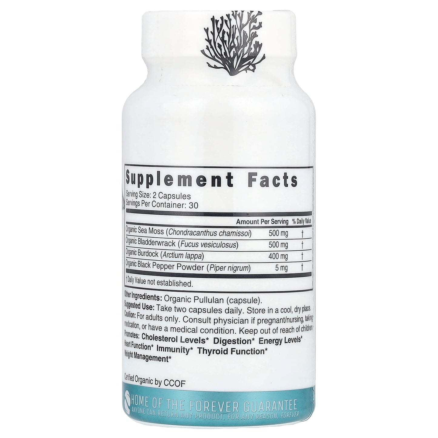 Nutri, Organic Sea Moss, 60 Organic Capsules - Image 2