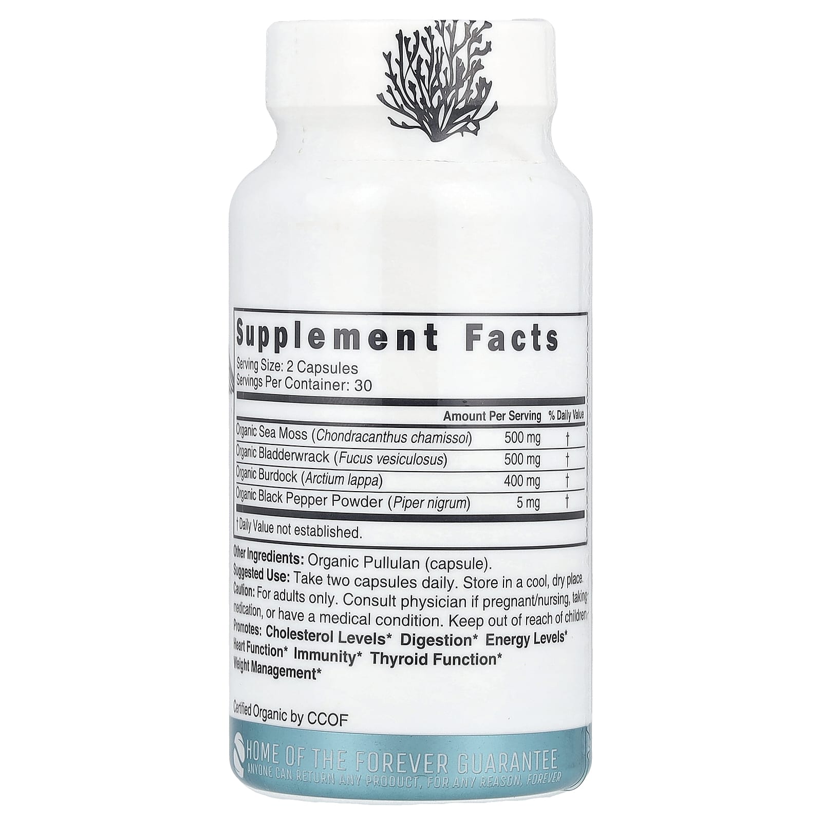 Nutri, Organic Sea Moss, 60 Organic Capsules - Image 2