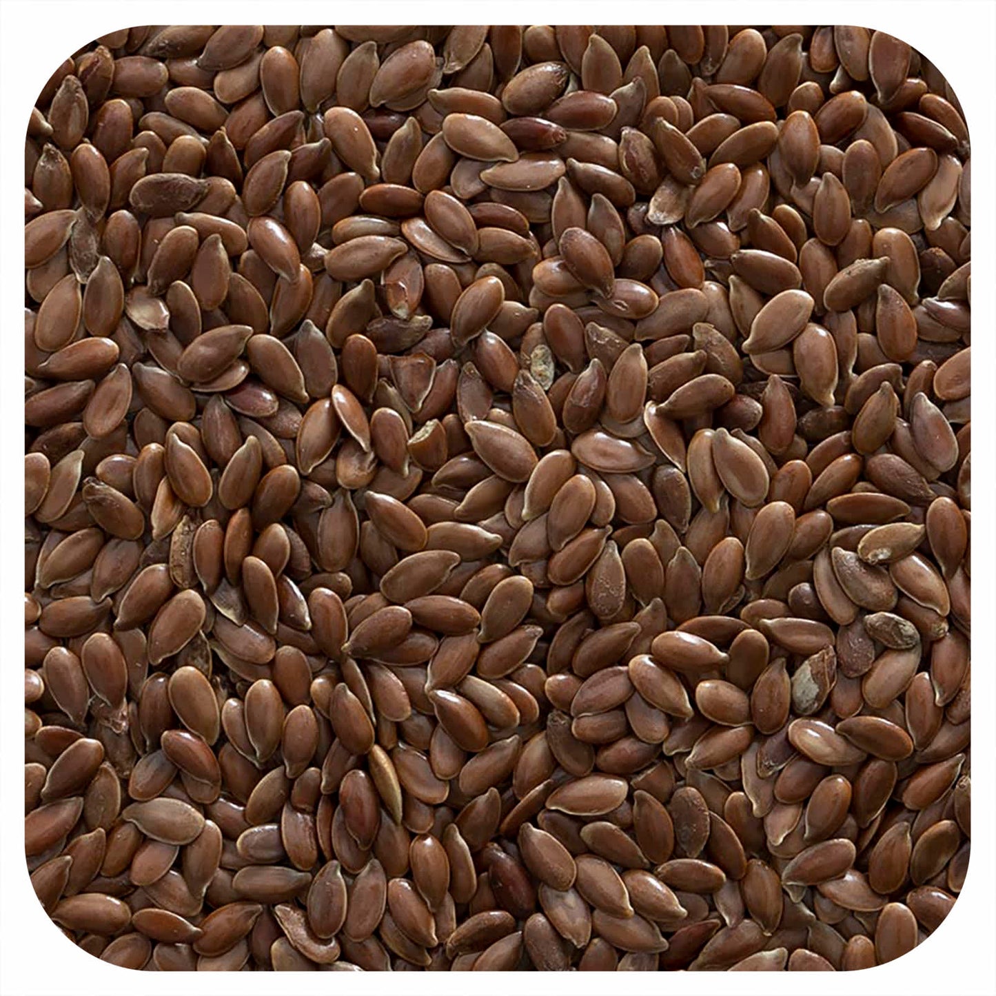 Organic Whole Flax Seeds by Frontier Co-op, 16 oz (453g) - Image 1