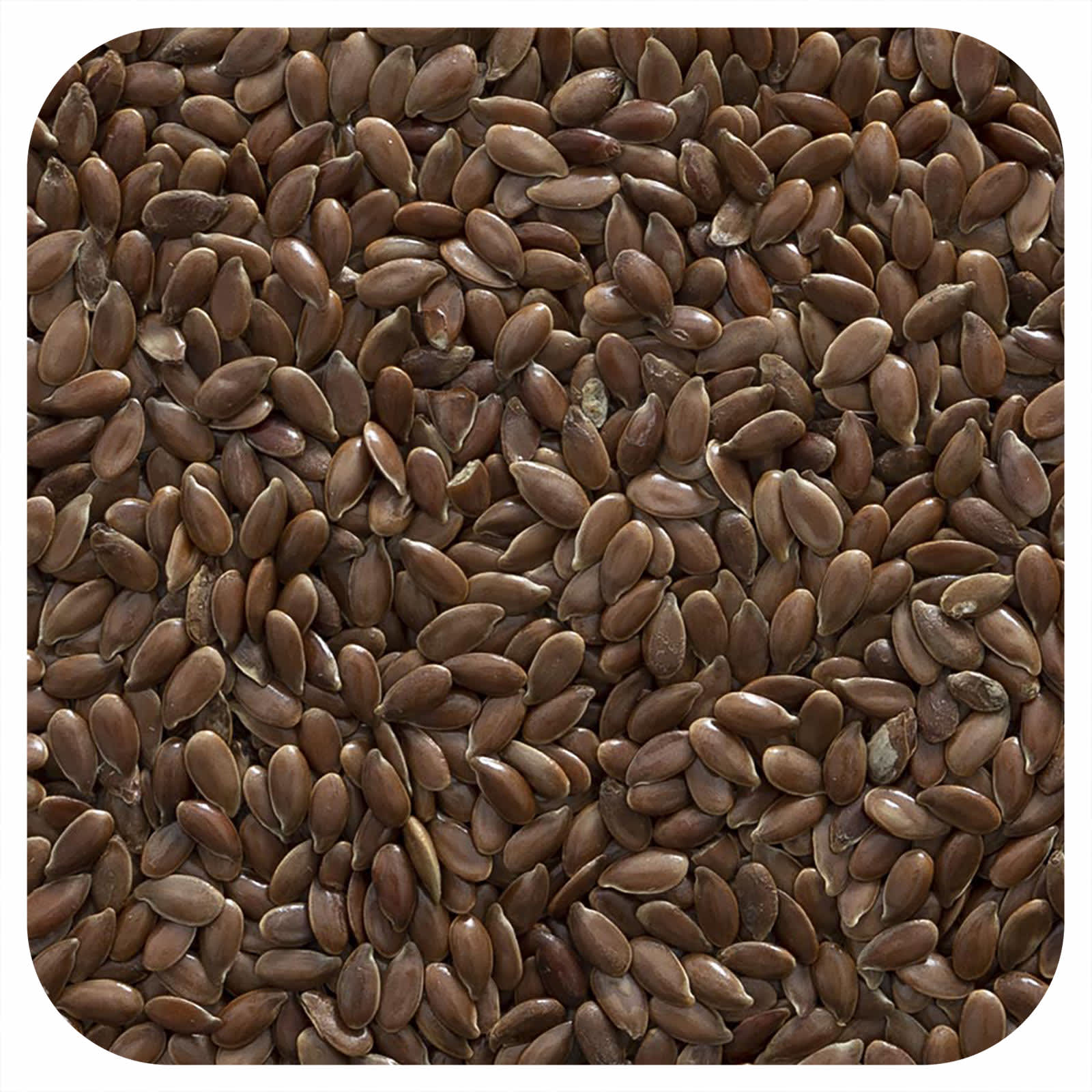 Organic Whole Flax Seeds by Frontier Co-op, 16 oz (453g) - Image 1