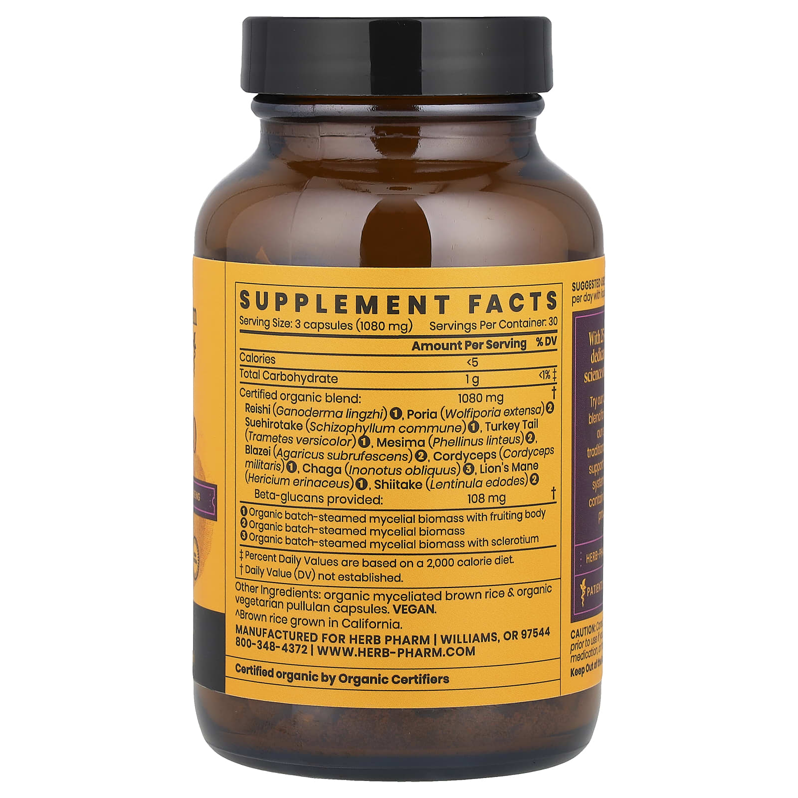 Optimize Immune System with Herb Pharm&rsquo;s Everyday 10 Mushroom Blend - Image 2