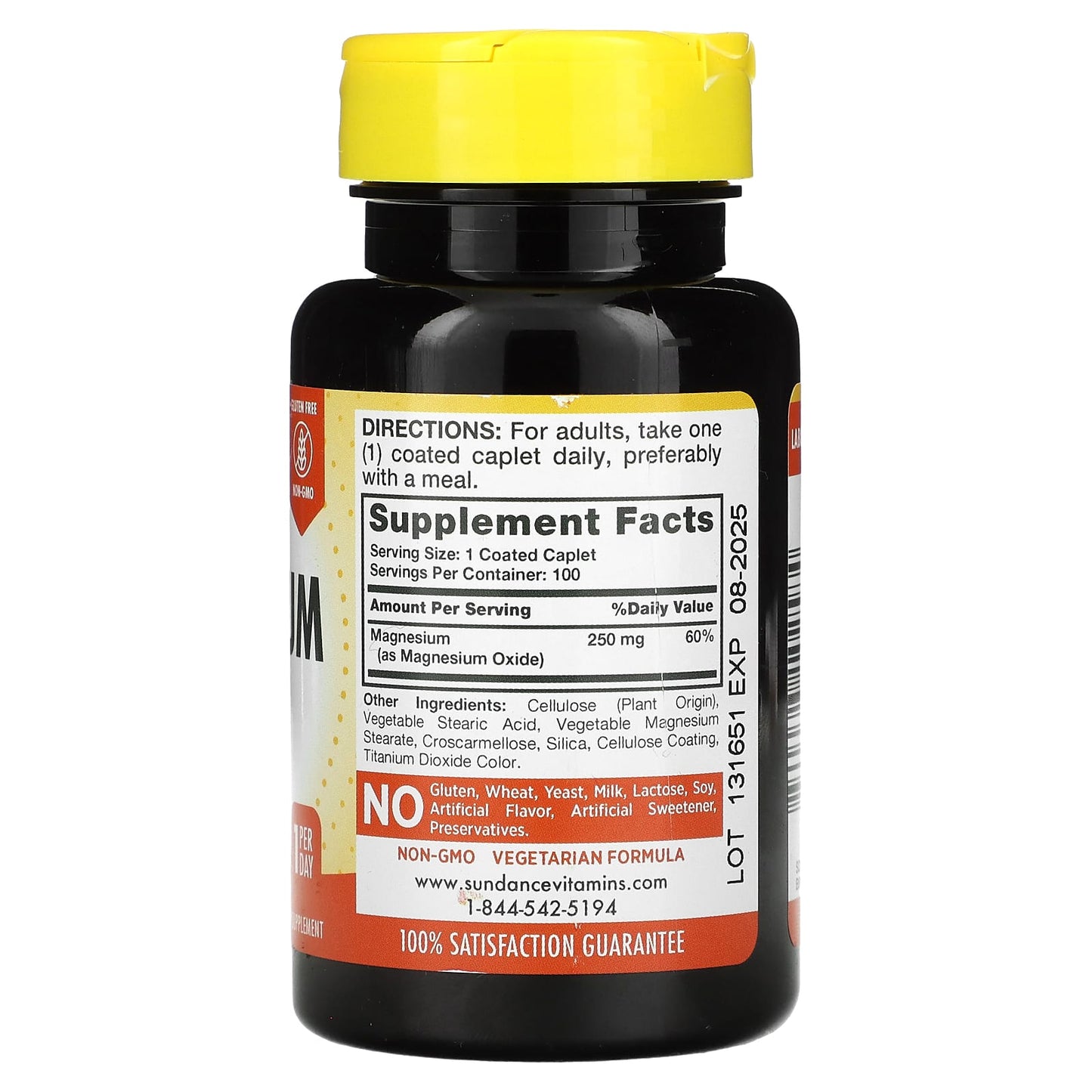 Sundance Vitamins, Magnesium, 250 mg, 100 Coated Caplets - Image 2