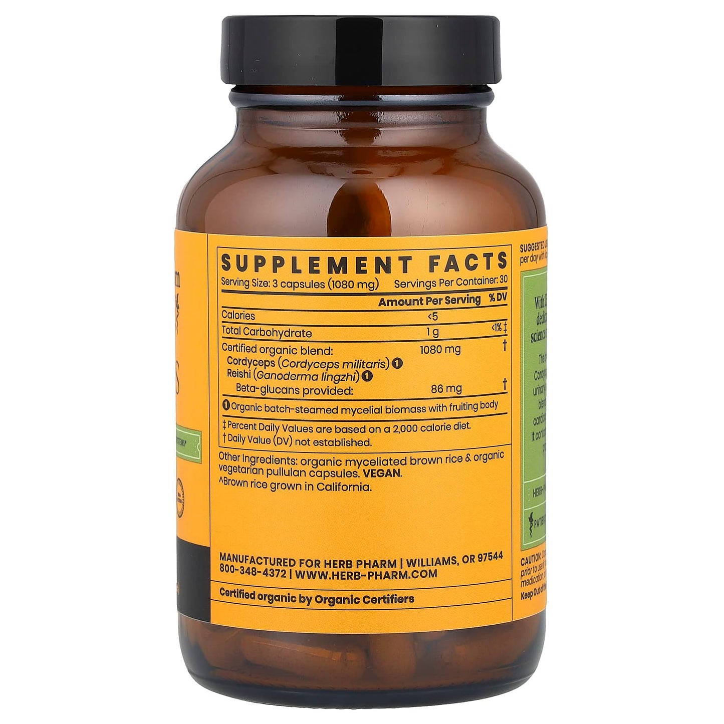 Boost Immunity with Cordyceps & Reishi Mushroom Blend - Image 2