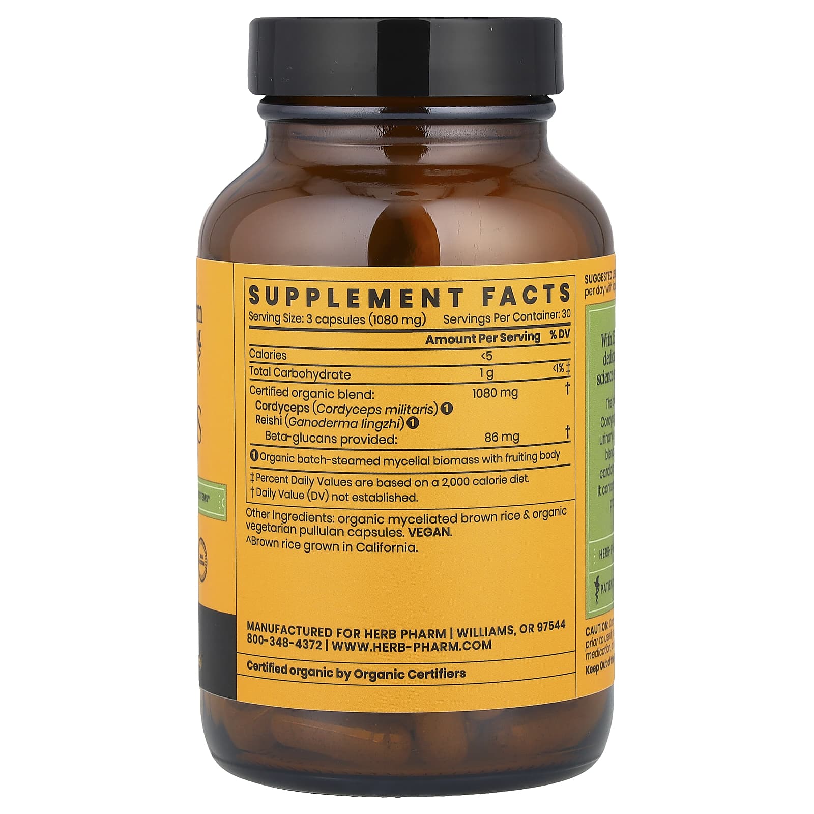 Boost Immunity with Cordyceps & Reishi Mushroom Blend - Image 2