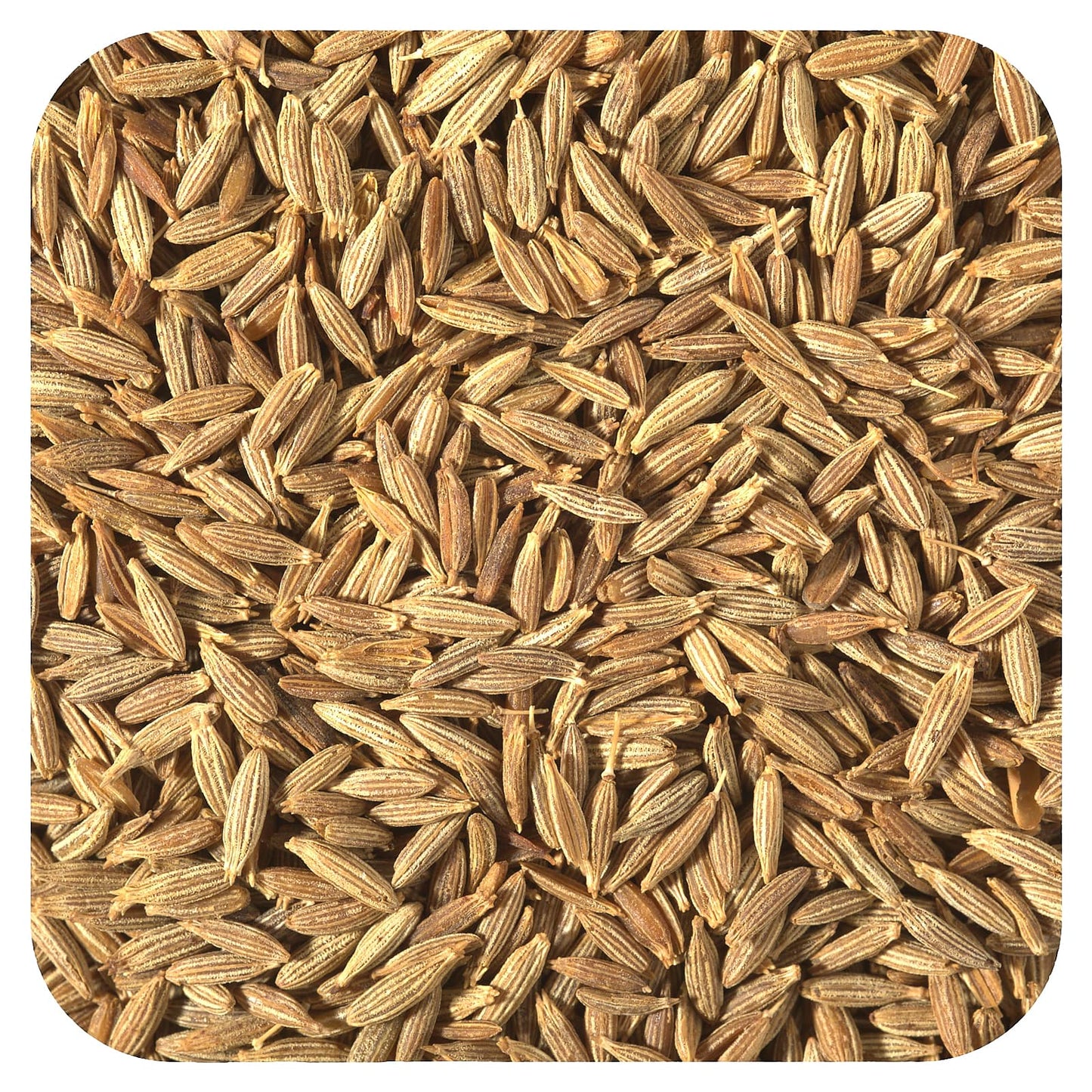 Starwest Botanicals, Organic Cumin Seed, 1 lb (453.6 g) - Image 1
