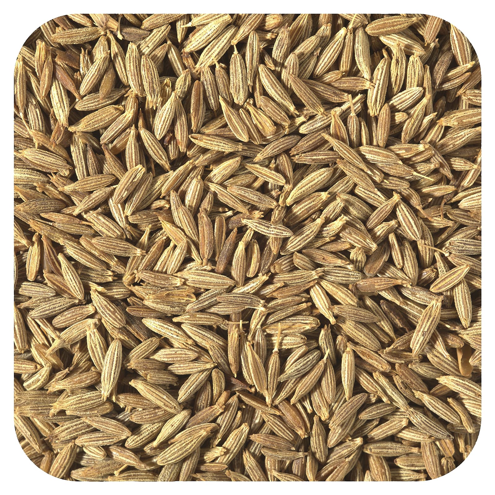 Starwest Botanicals, Organic Cumin Seed, 1 lb (453.6 g) - Image 1