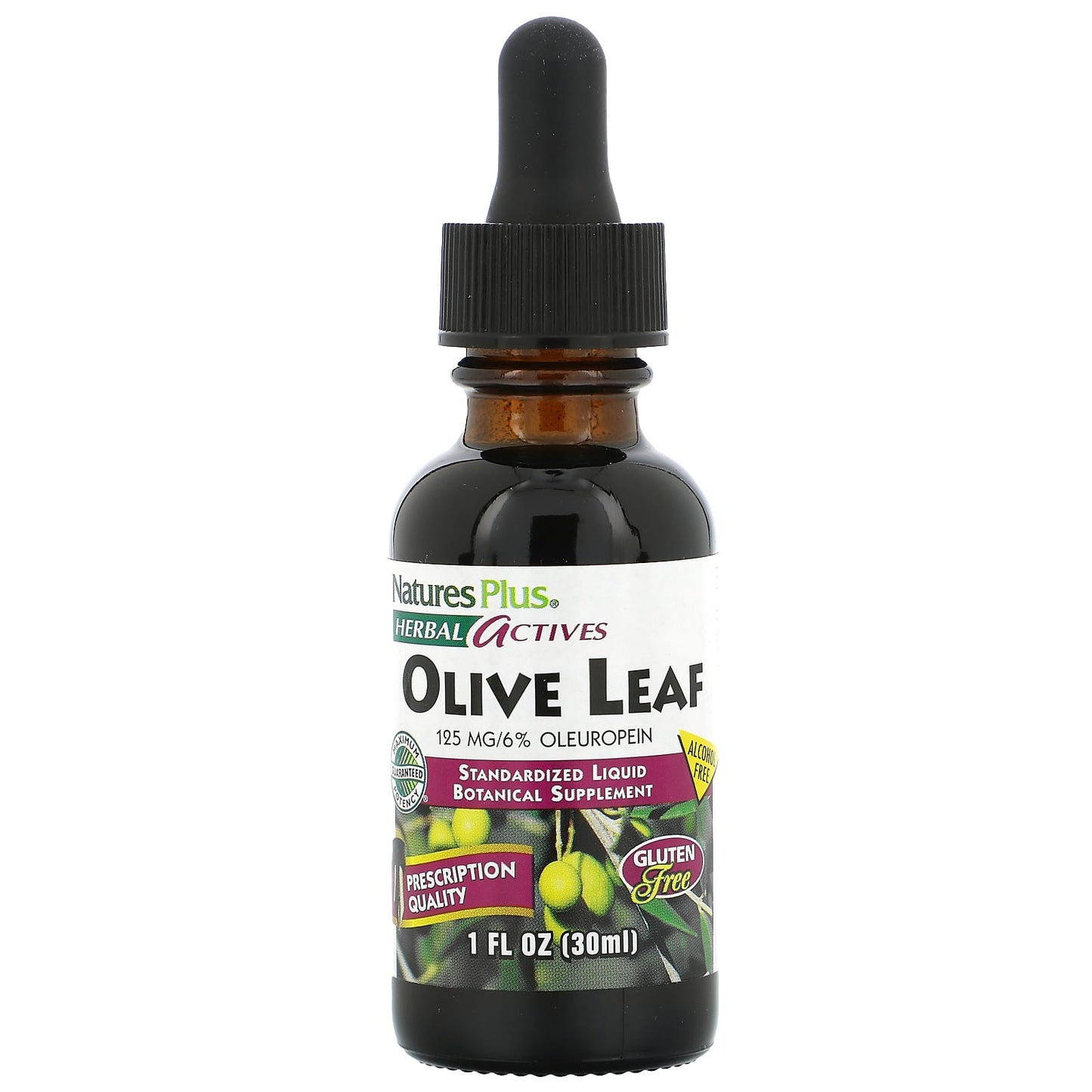 NaturesPlus, Herbal Actives, Olive Leaf, Alcohol Free, 125 mg, 1 fl oz (30 ml) - Image 1
