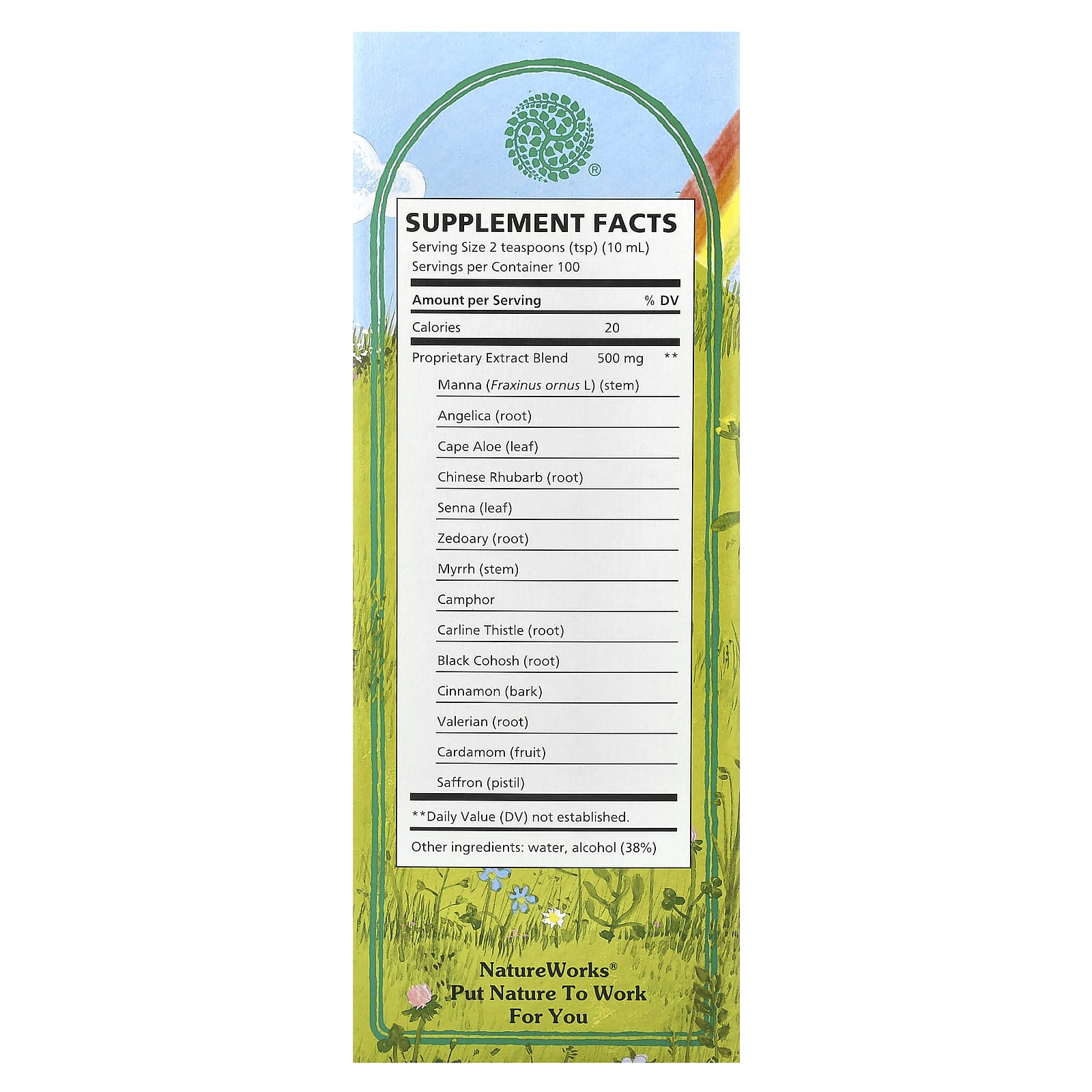 Nature's Way, NatureWorks, Swedish Bitters, 33.8 fl oz (1,000 ml) - Image 2