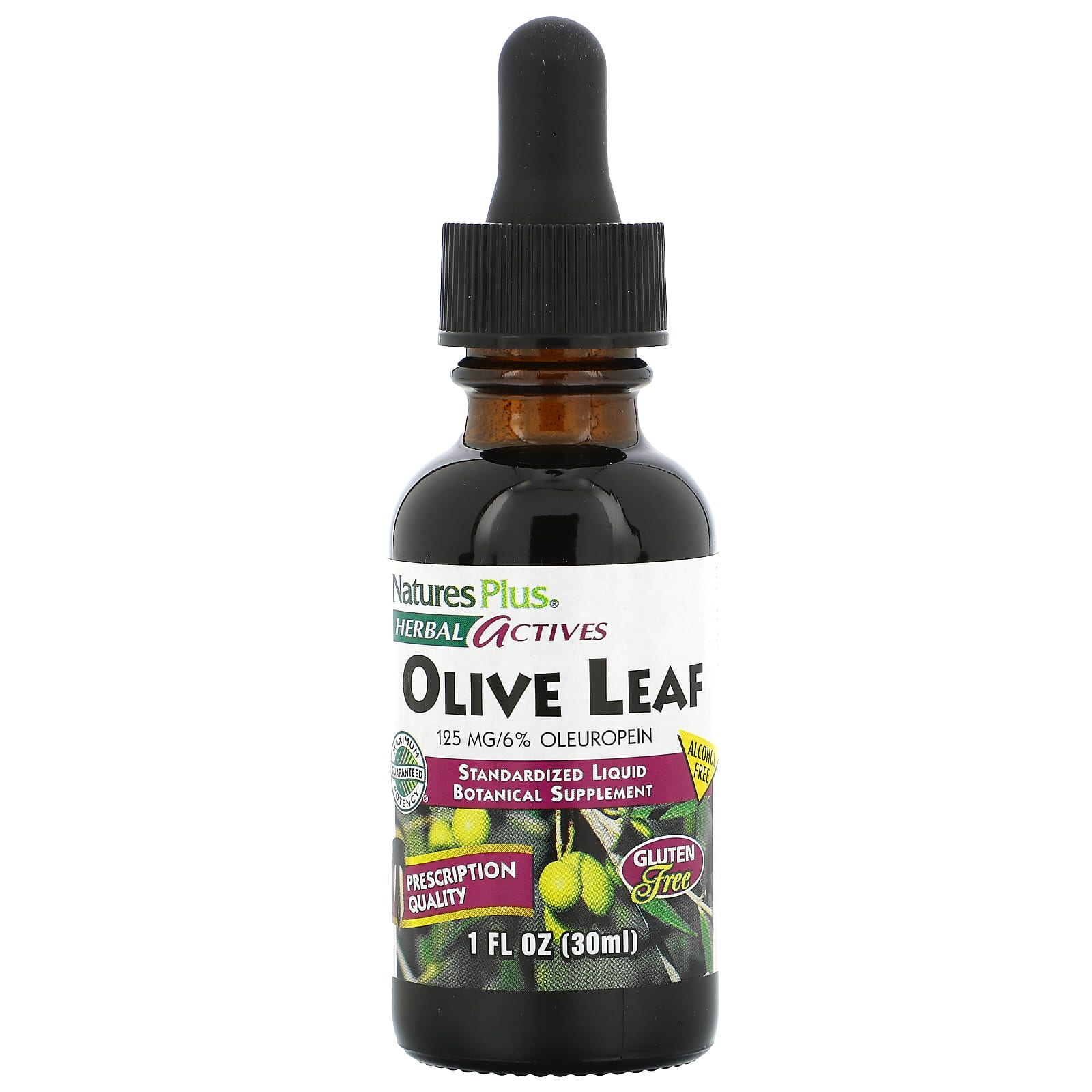 NaturesPlus, Herbal Actives, Olive Leaf, Alcohol Free, 125 mg, 1 fl oz (30 ml) - Image 1