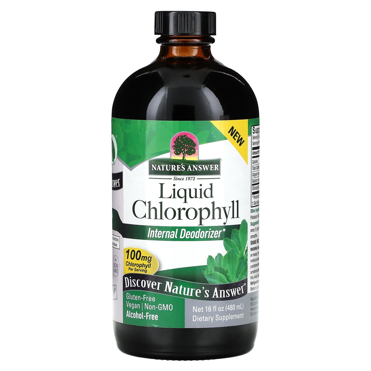 Nature's Answer, Liquid Chlorophyll, 100 mg, 16 fl oz (480 ml) - Image 1