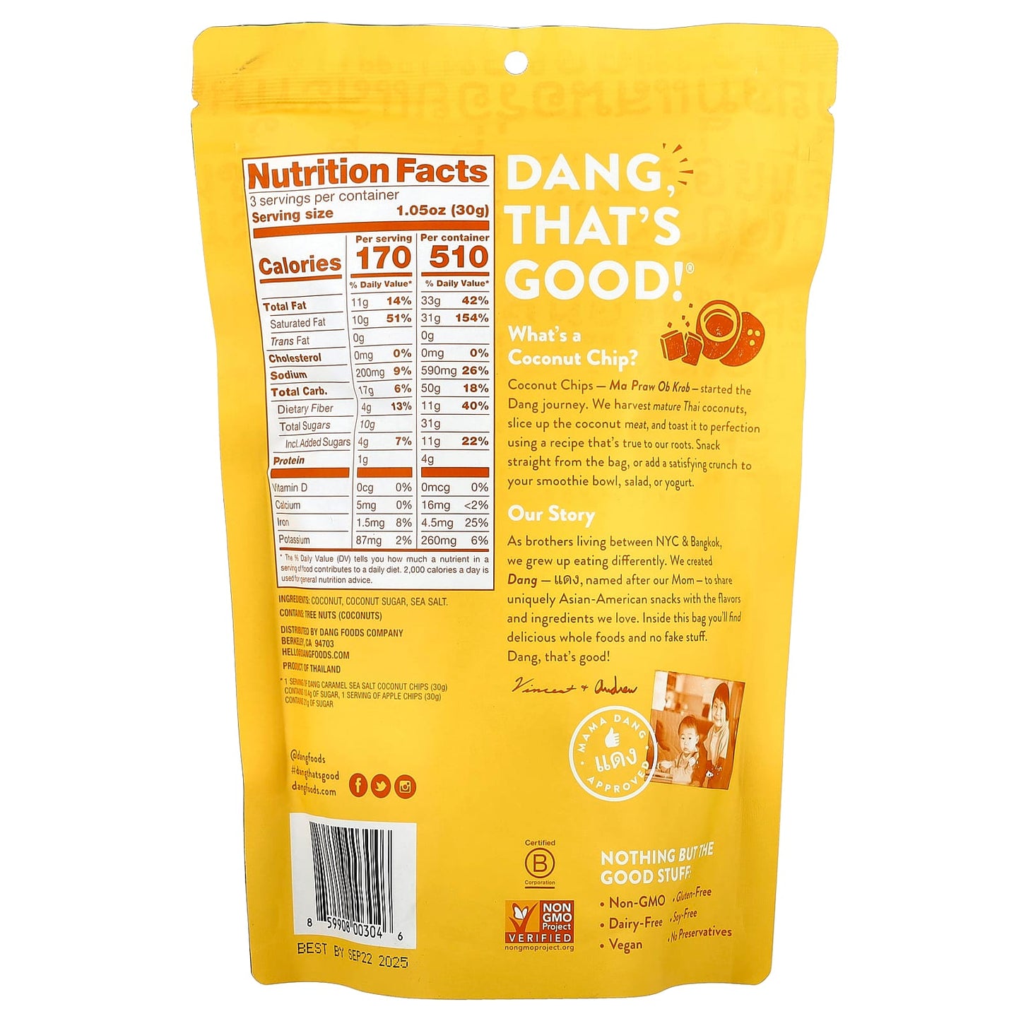 Caramel Sea Salt Coconut Chips by Dang Foods - 3.17 oz (90 g) - Image 2