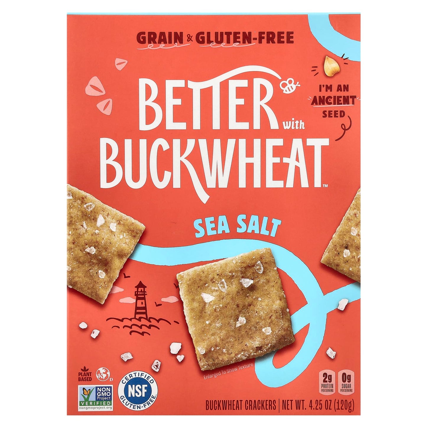 Buckwheat Crackers with Sea Salt | Grain-Free, Gluten-Free - Image 1