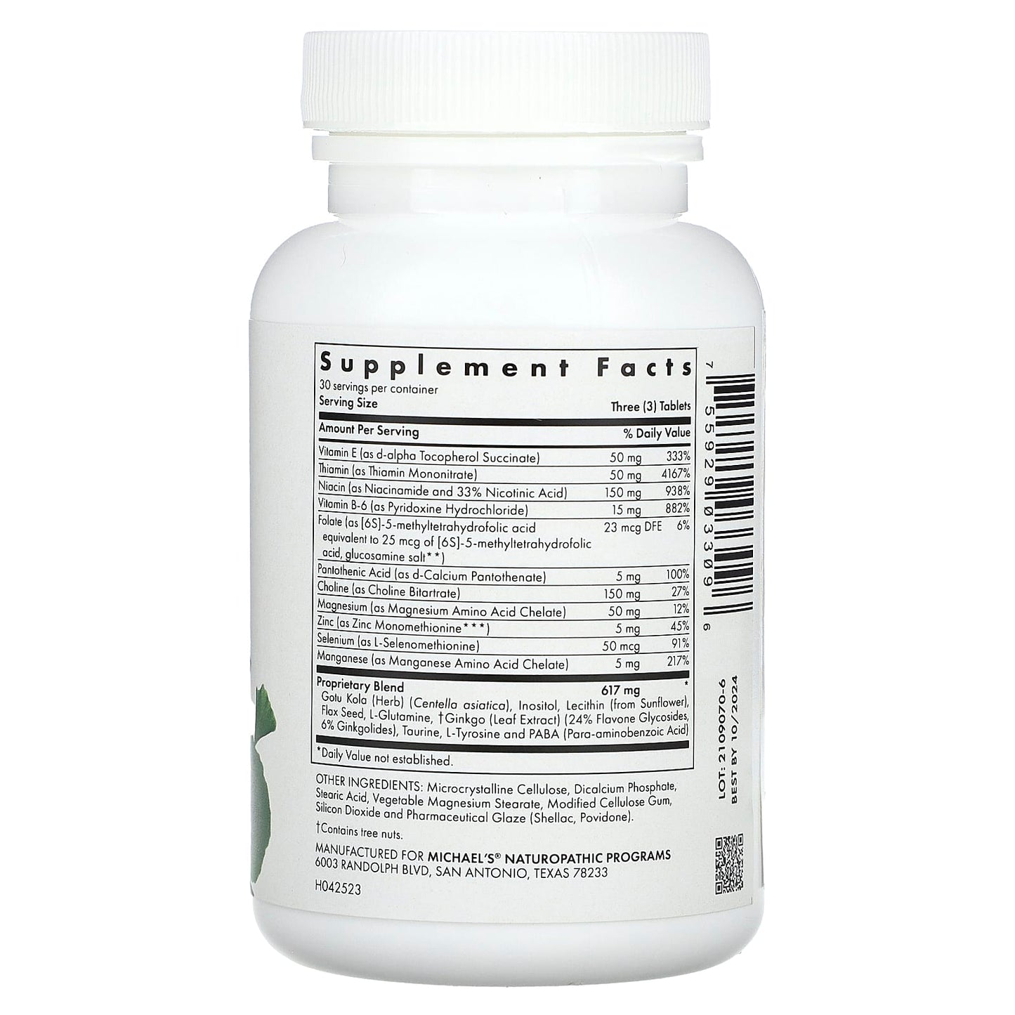 Michael's Health, Memory Factors, 90 Vegetarian Tablets - Image 2
