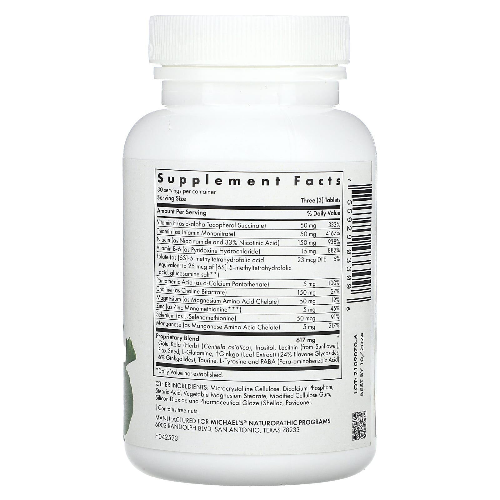 Michael's Health, Memory Factors, 90 Vegetarian Tablets - Image 2