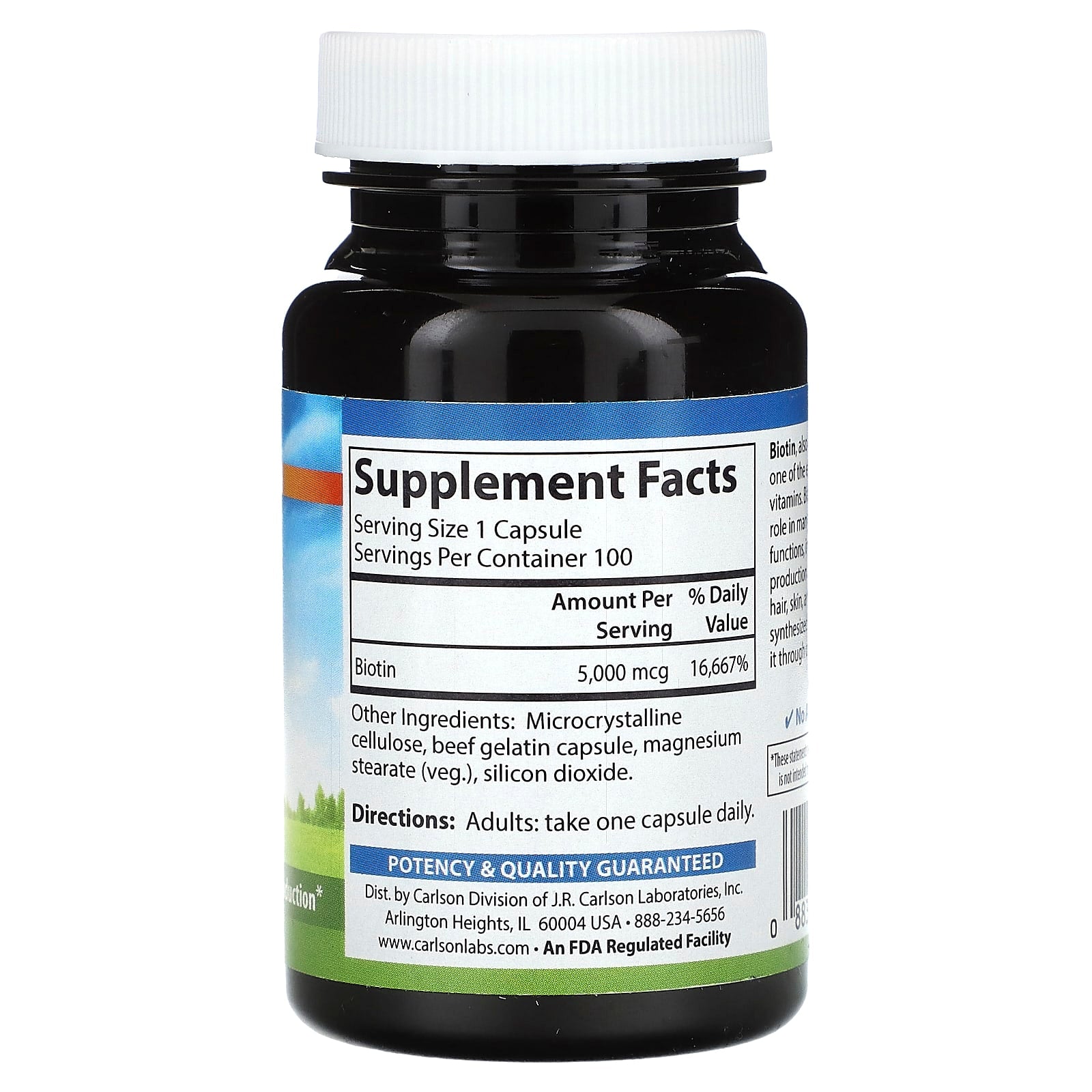Biotin Supplements by Carlson for Hair, Skin, and Nail Health - 5,000 mcg, 100 Capsules - Image 2