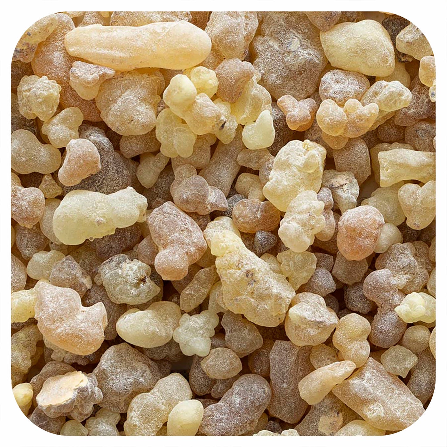 Frontier Co-op Frankincense Tears 16 oz | Natural & Kosher - Image 1