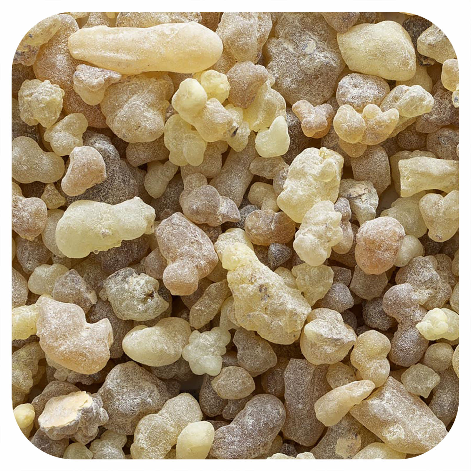 Frontier Co-op Frankincense Tears 16 oz | Natural & Kosher - Image 1