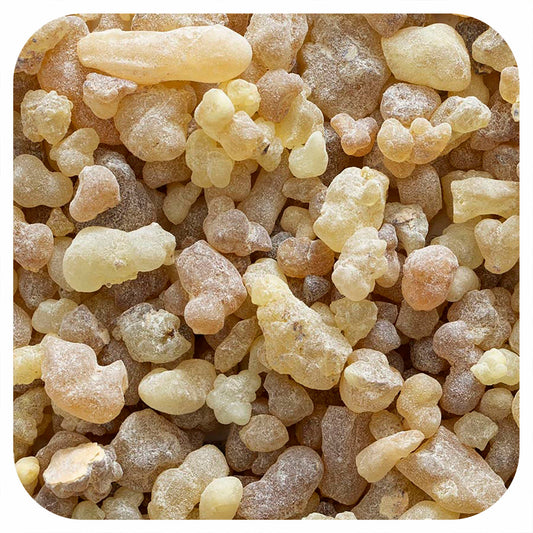 Frontier Co-op Frankincense Tears 16 oz | Natural & Kosher - Image 1