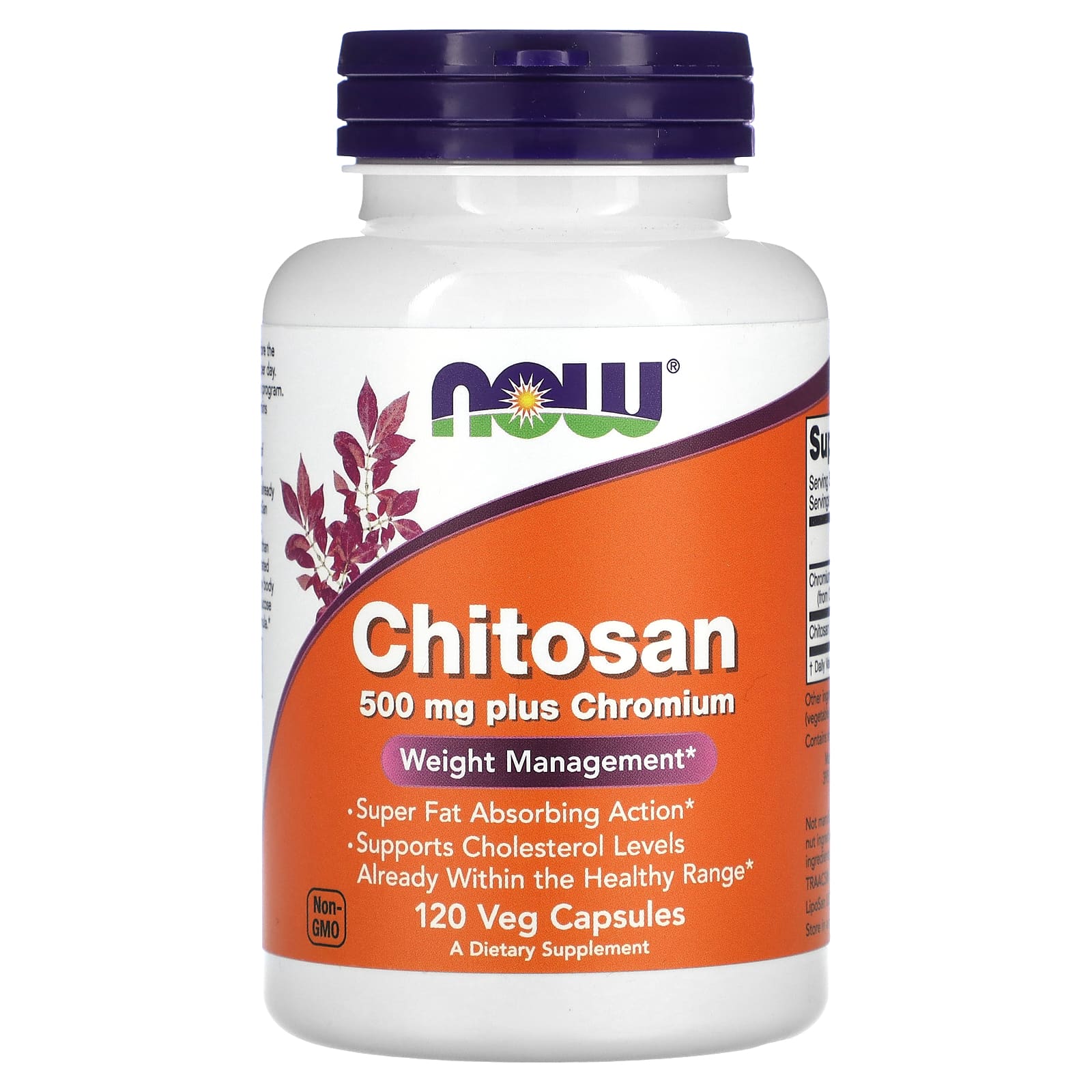 NOW Foods, Chitosan Plus Chromium, 500 mg, 120 Veg Capsules - Image 1