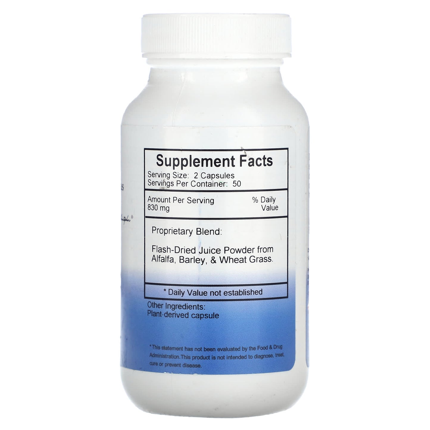 Jurassic Green - 100% Vegetarian, Gluten Free, Green Superfood Supplement - Image 2