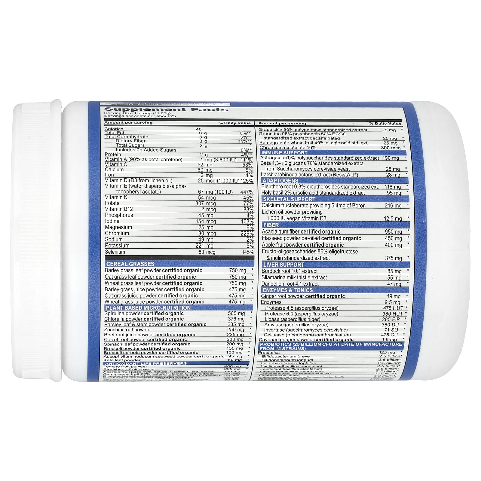 Vibrant Health, Green Vibrance, Version 21.0, Blueberry Lemon, 10.3 oz (292 g) - Image 2