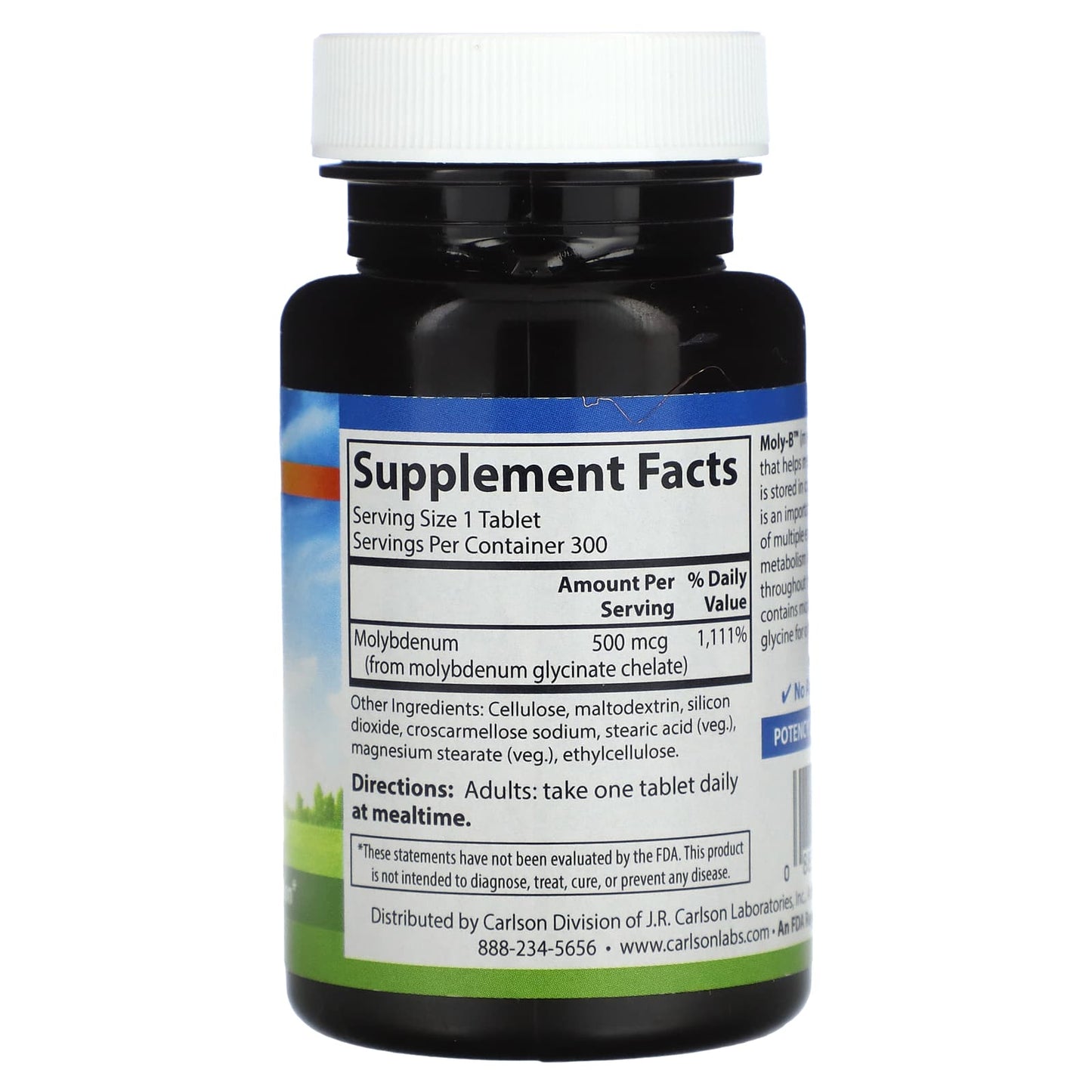 Carlson Molybdenum Supplement for Metabolism Support - 300 Tablets - Image 2