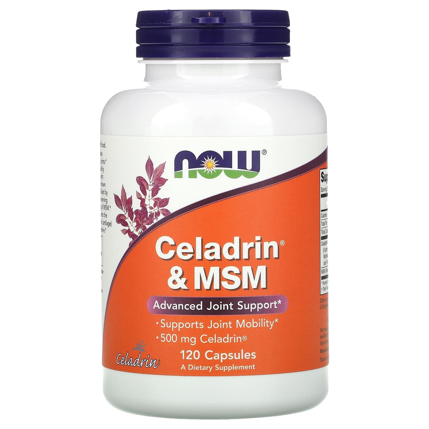 NOW Foods, Celadrin & MSM, 120 Capsules - Image 1