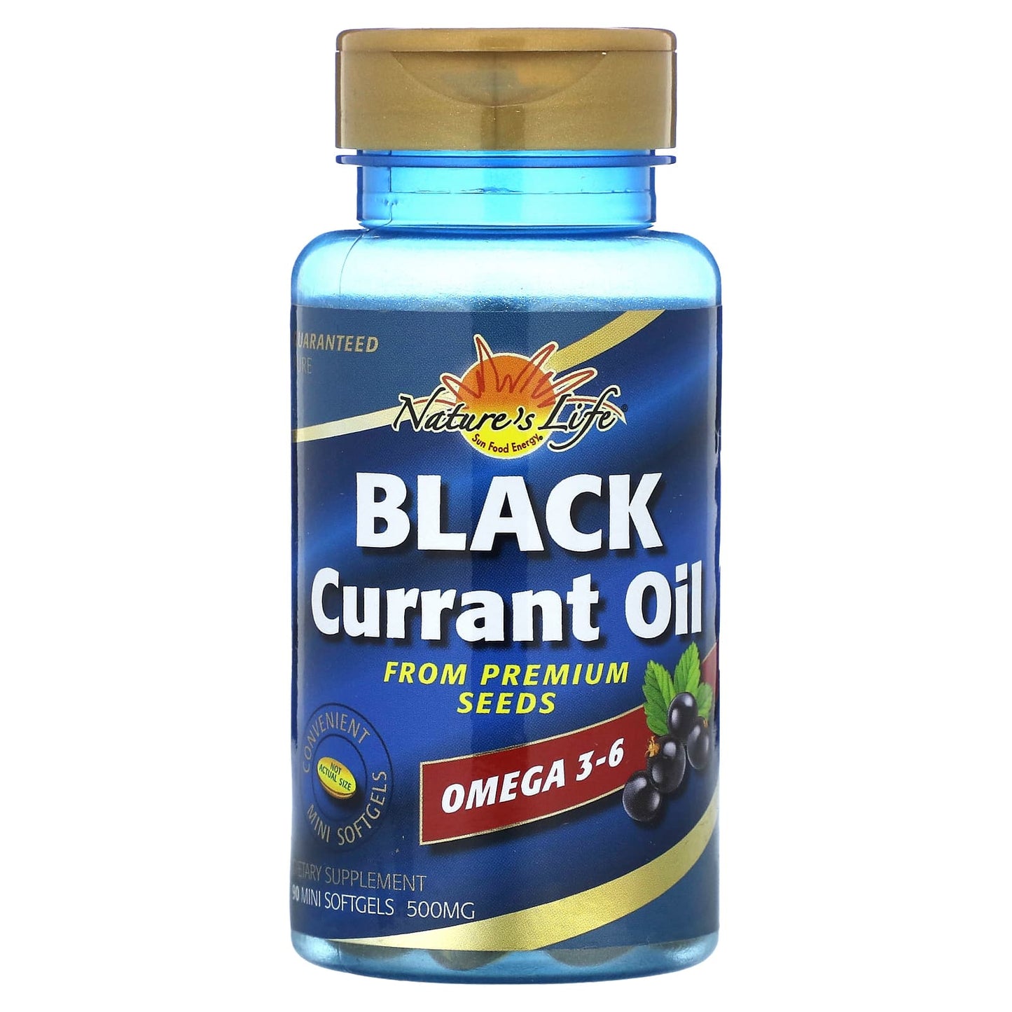 Nature's Life, Black Currant Oil, 500 mg, 90 Mini Softgels - Image 1