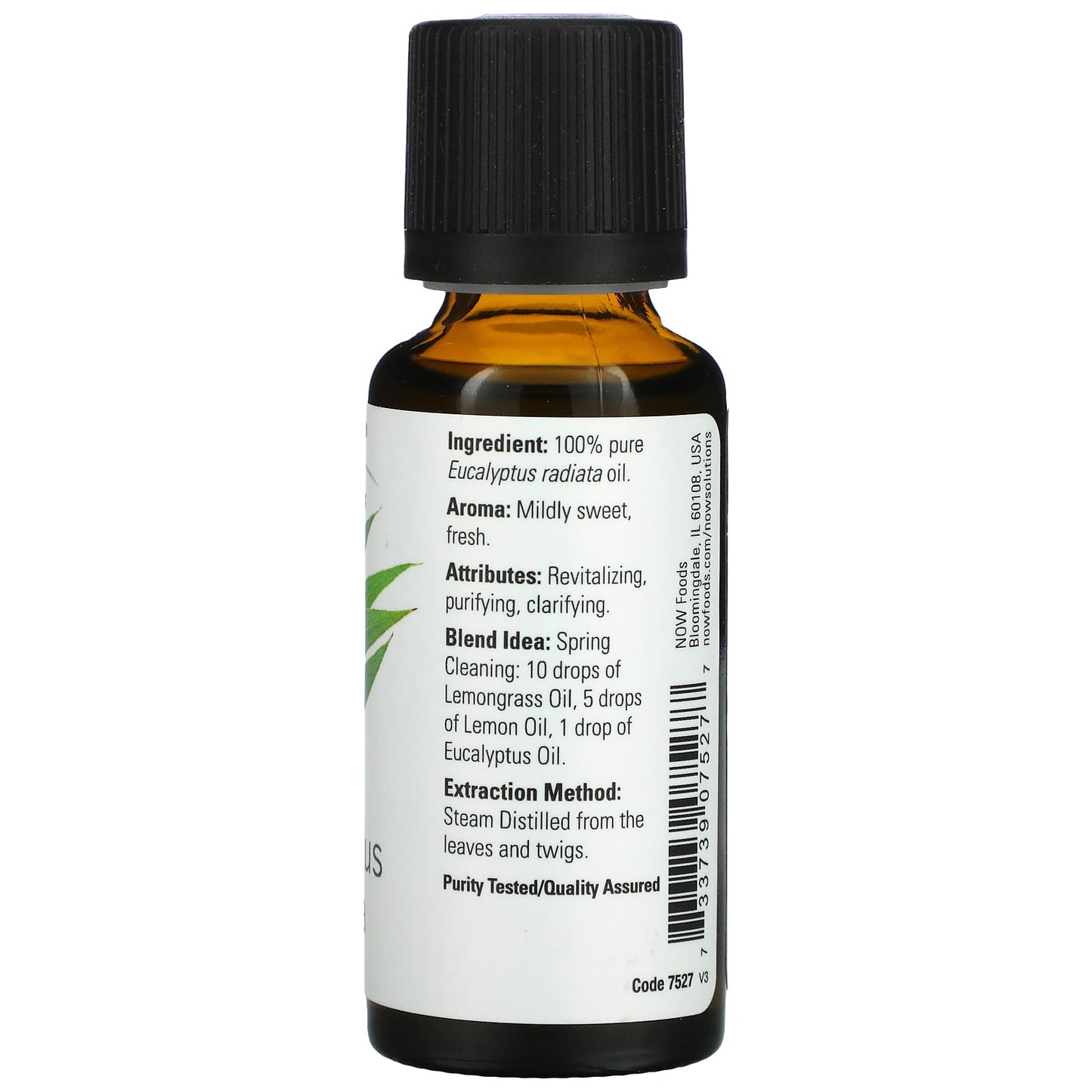NOW Foods, Essential Oils, Eucalyptus Radiata, 1 fl oz. (30 ml) - Image 2