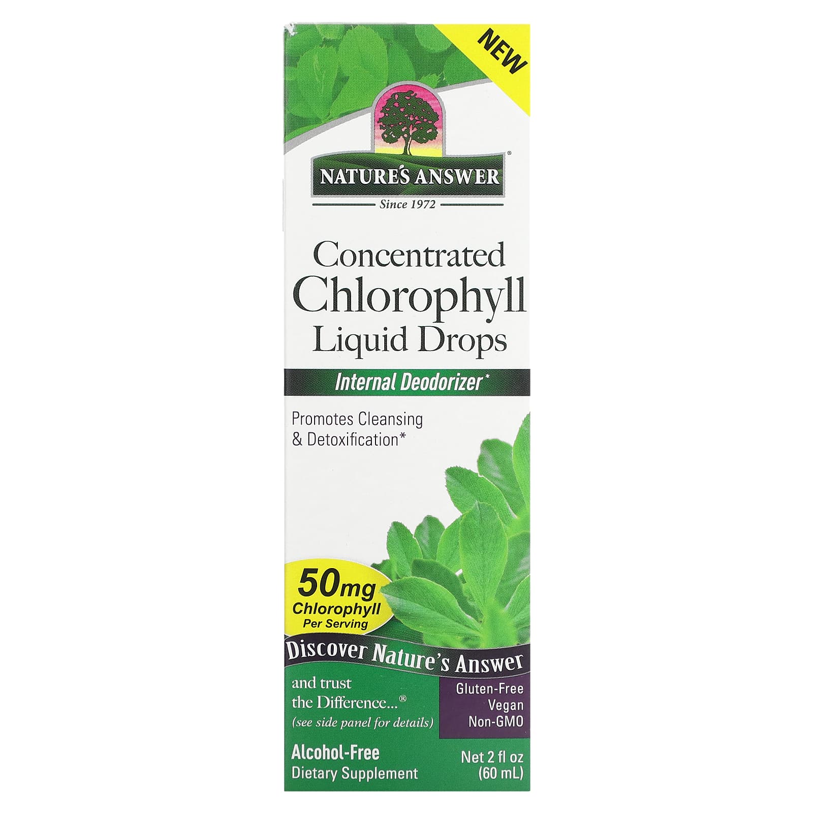 Nature's Answer, Concentrated Chlorophyll Liquid Drops, 50 mg, 2 fl oz (60 ml) - Image 1