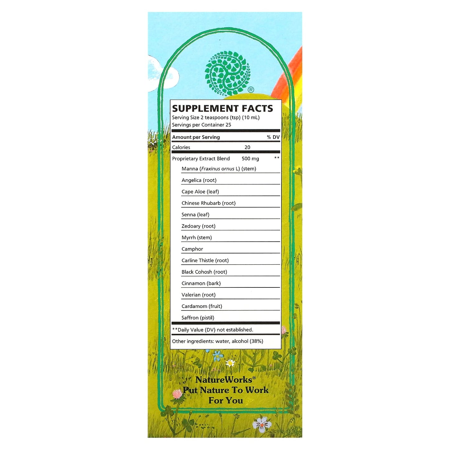 Nature's Way, NatureWorks, Swedish Bitters, 8.45 fl oz (250 ml) - Image 2