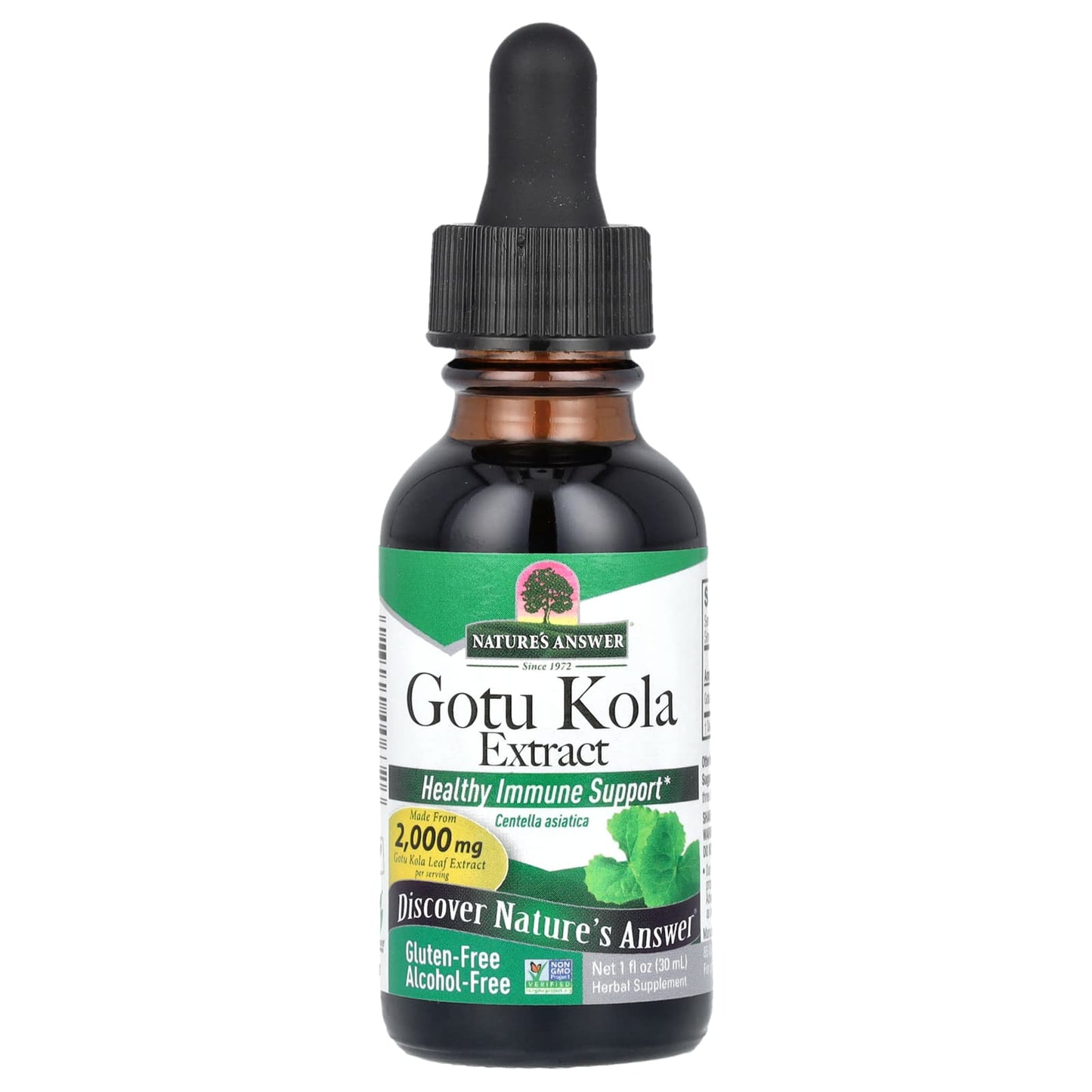 Nature's Answer, Gotu Kola Extract, Alcohol-Free, 2,000 mg, 1 fl oz (30 ml) - Image 1