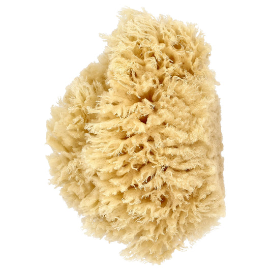 Gentle Baby Bathing with Premium Wool Sea Sponge by Baby Buddy - Image 1