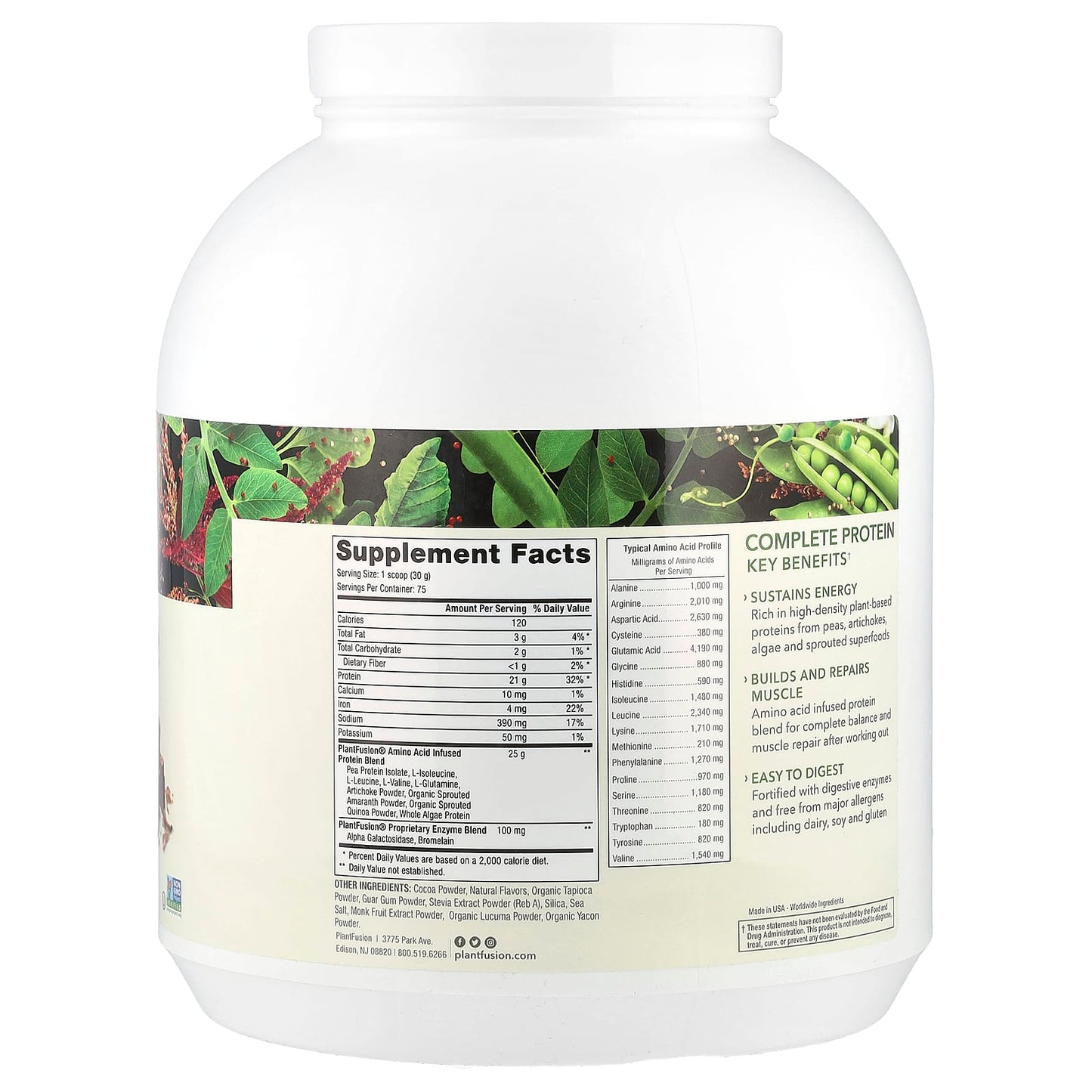 PlantFusion, Complete Protein, Rich Chocolate, 5 lb (2.25 kg) - Image 2