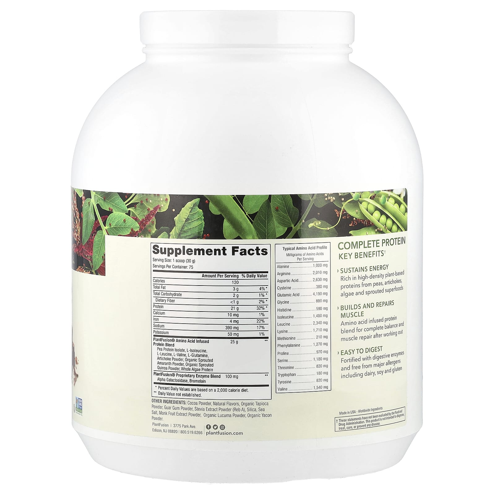 PlantFusion, Complete Protein, Rich Chocolate, 5 lb (2.25 kg) - Image 2