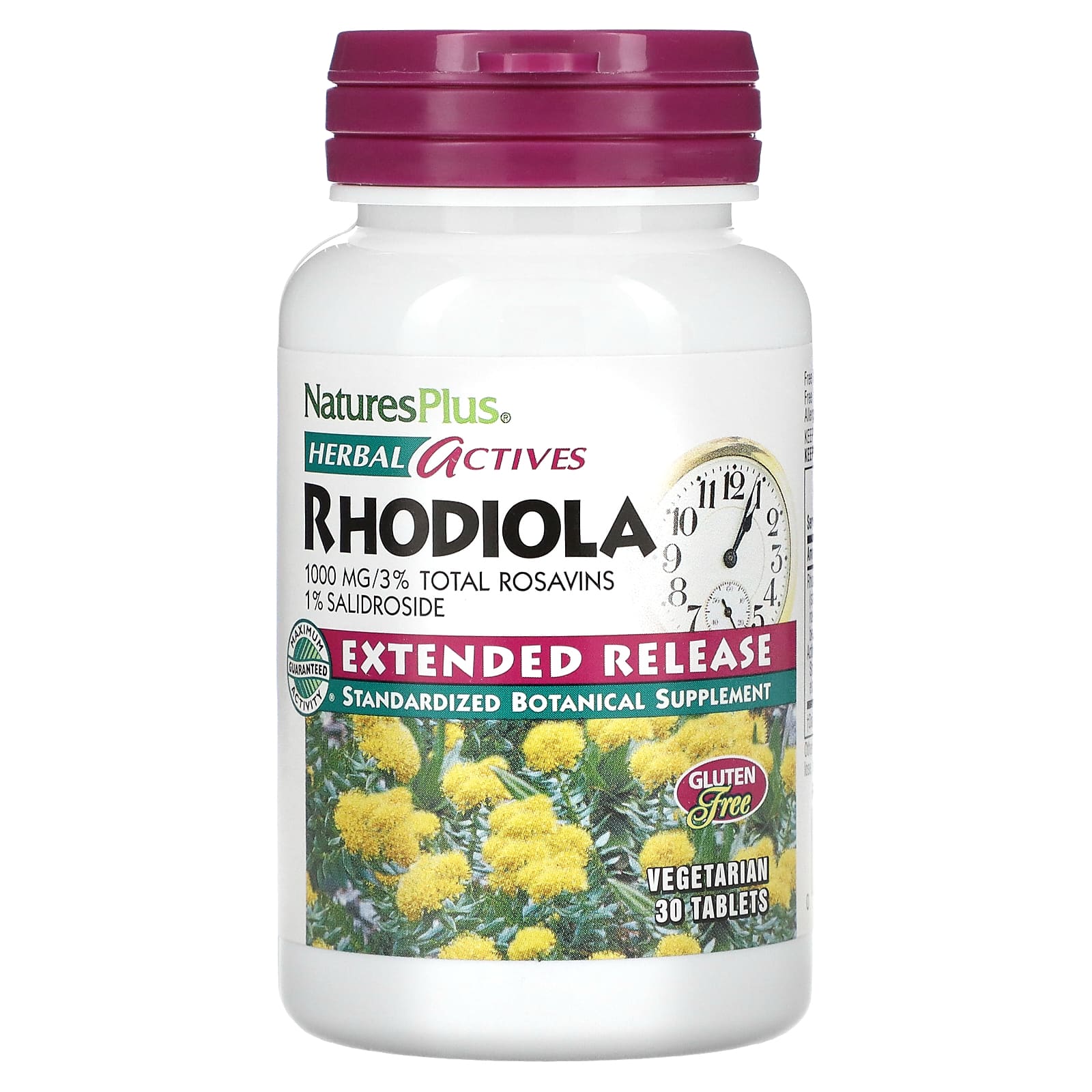 NaturesPlus, Herbal Actives, Rhodiola, Extended Release, 1,000 mg, 30 Vegetarian Tablets - Image 1