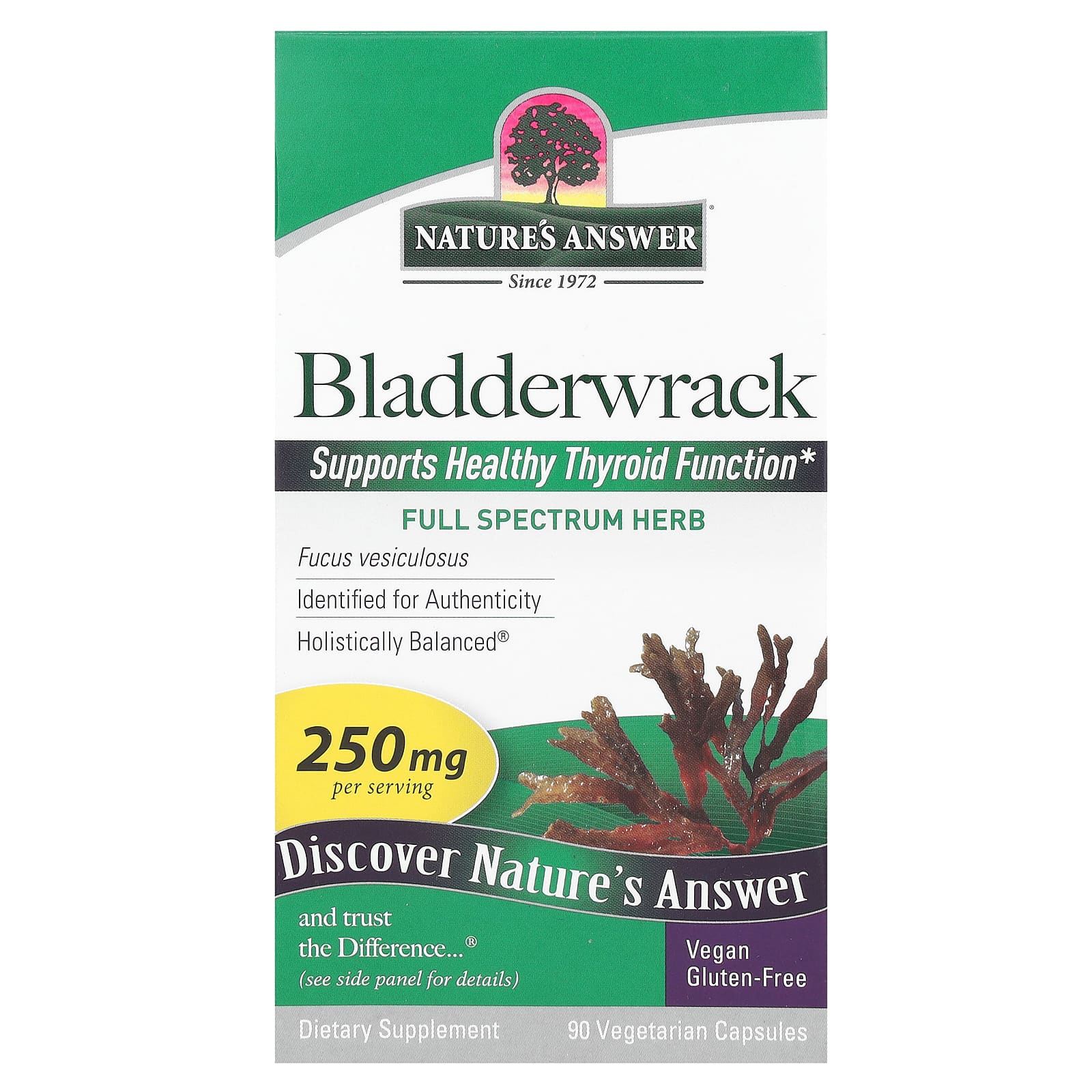 Nature's Answer, Bladderwrack, 250 mg, 90 Vegetarian Capsules - Image 1