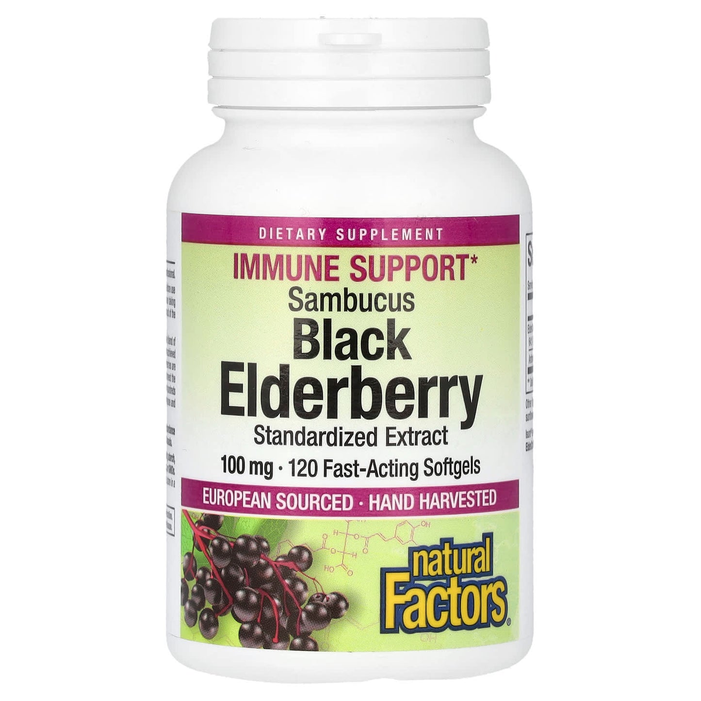 Natural Factors, Sambucus Black Elderberry, 100 mg, 120 Fast-Acting Softgels - Image 1