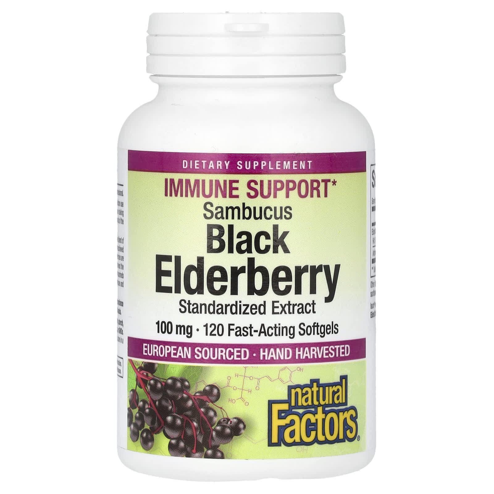 Natural Factors, Sambucus Black Elderberry, 100 mg, 120 Fast-Acting Softgels - Image 1