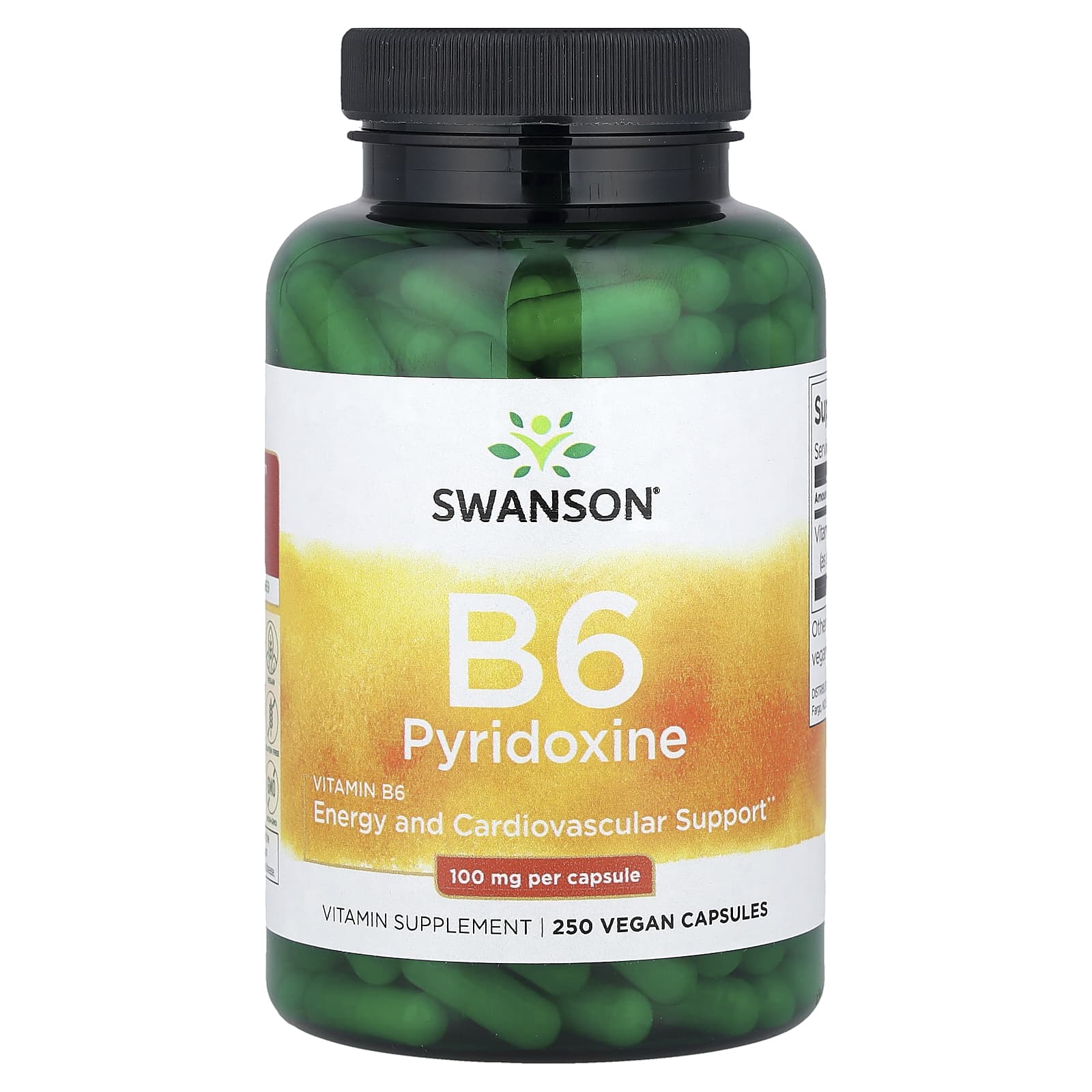 Swanson, Vitamin B6 Pyridoxine, 100 mg, 250 Vegan Capsules - Image 1