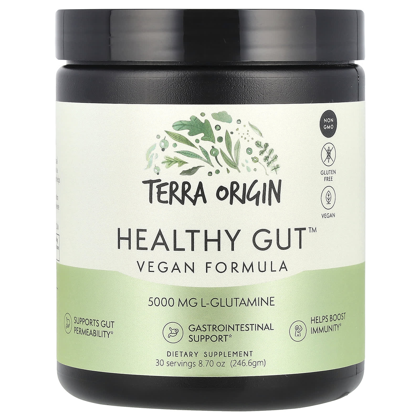 Terra Origin, Healthy Gut™, Vegan Formula, 8.7 oz (246.6 g) - Image 1