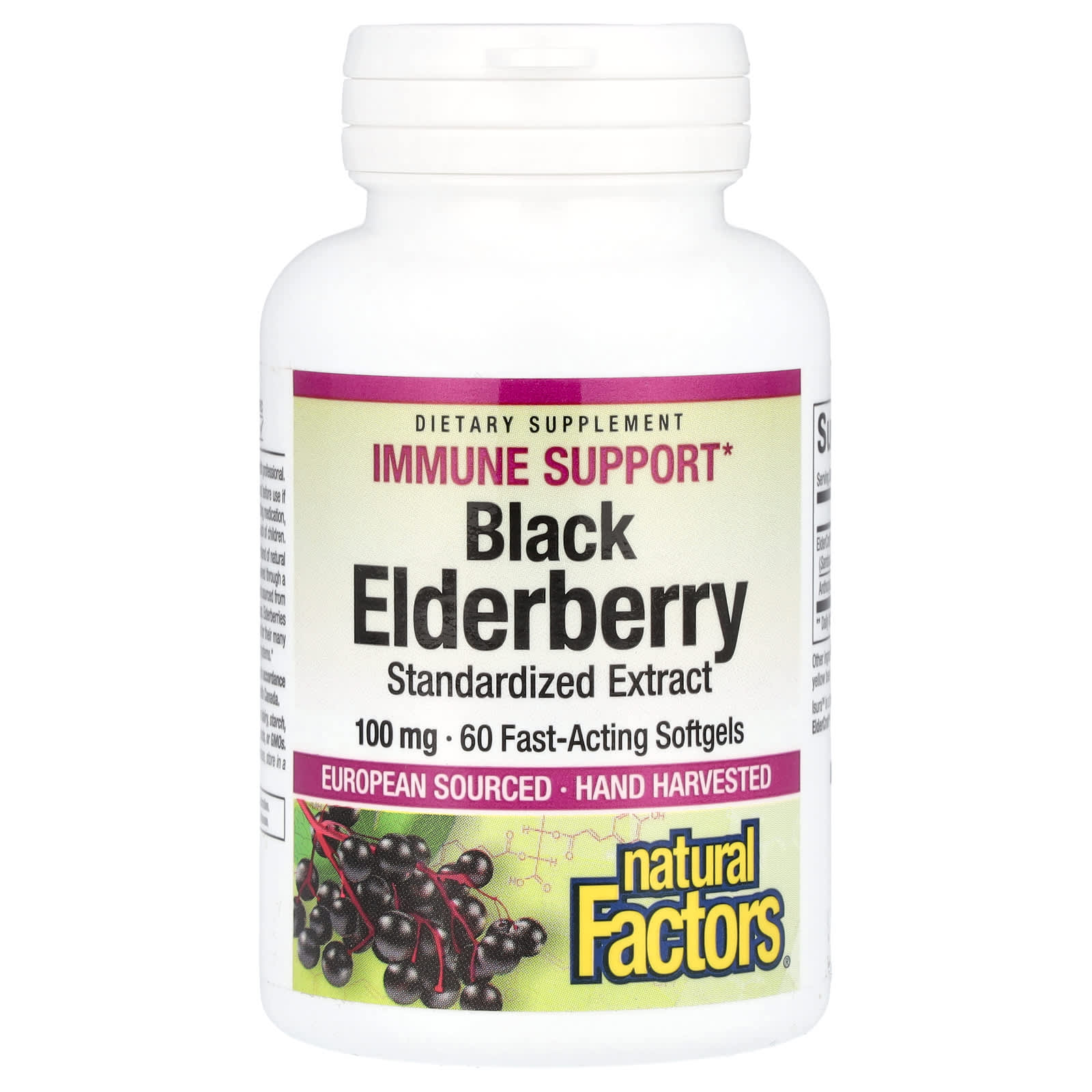 Natural Factors, Black Elderberry, 100 mg, 60 Fast-Acting Softgels - Image 1