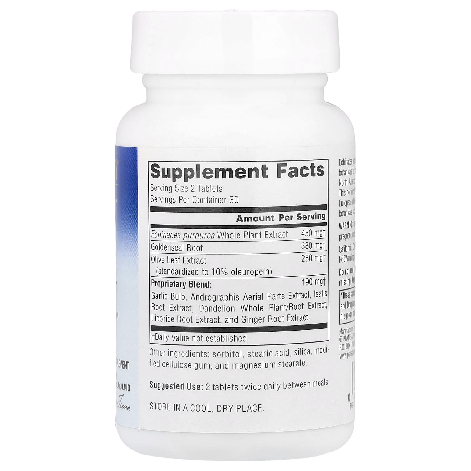 Planetary Herbals, Echinacea-Goldenseal with Olive Leaf, 635 mg, 60 Tablets (317 mg per Tablet)