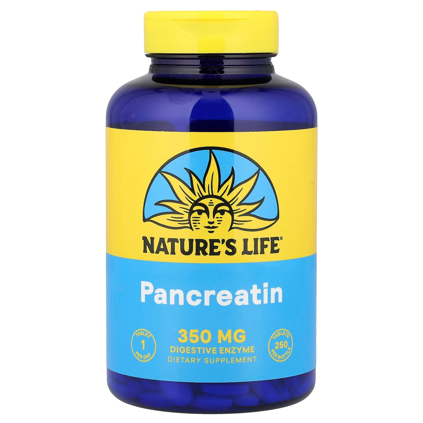 Nature's Life, Pancreatin, 250 Tablets - Image 1