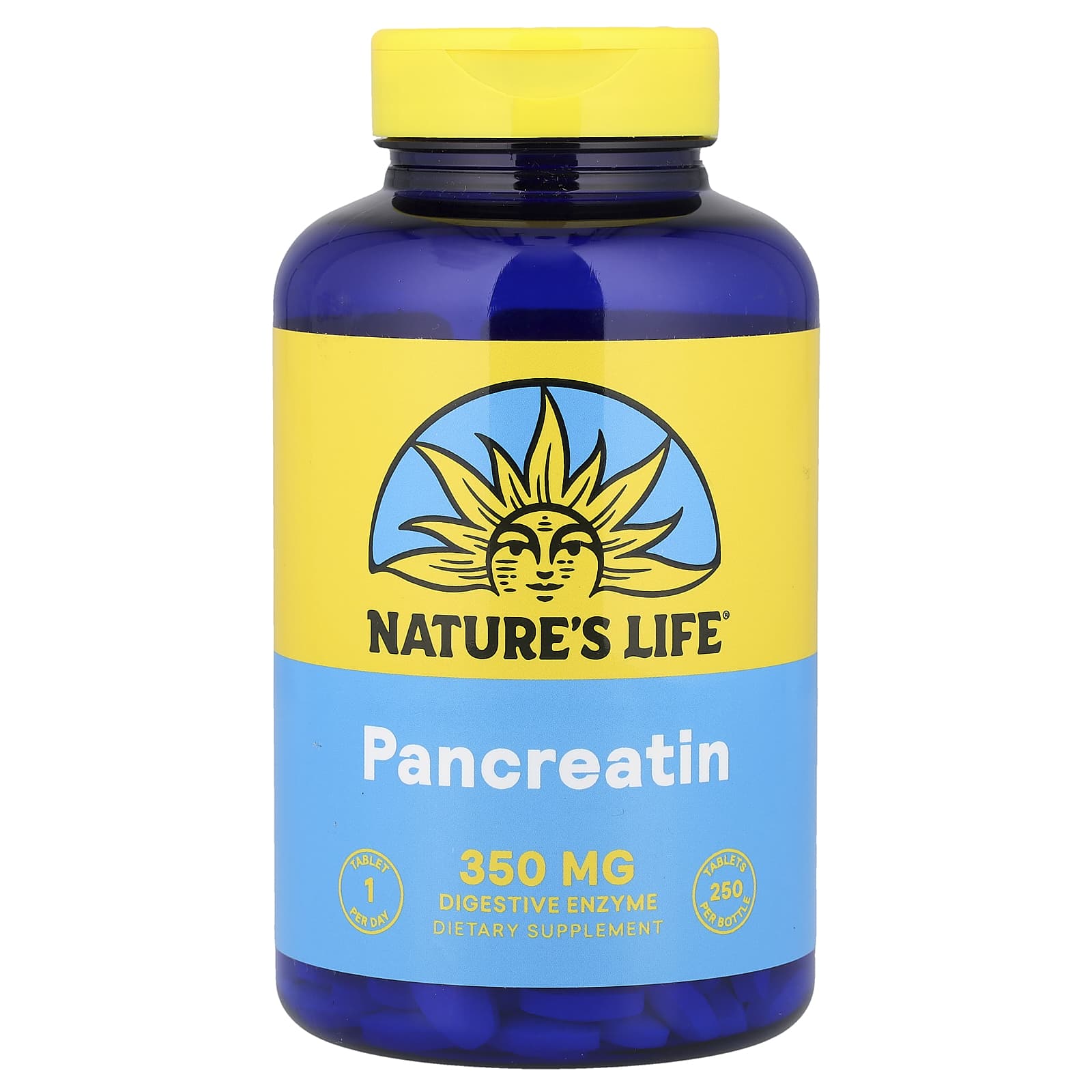 Nature's Life, Pancreatin, 250 Tablets - Image 1