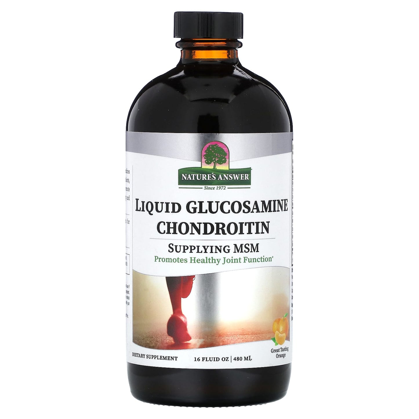 Nature's Answer, Liquid Glucosamine Chondroitin, Orange, 16 fl oz (480 ml) - Image 1